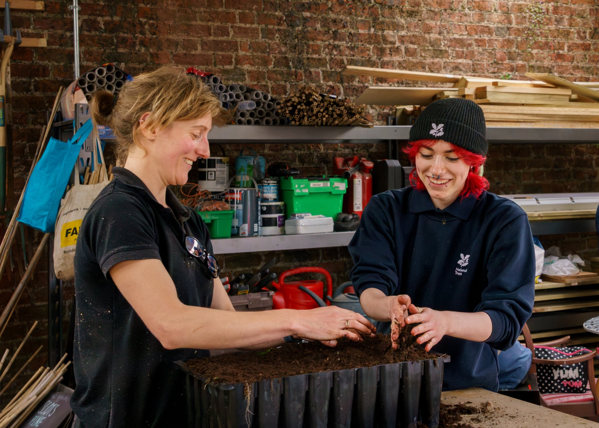Volunteering at Mount Stewart Tree Nursery