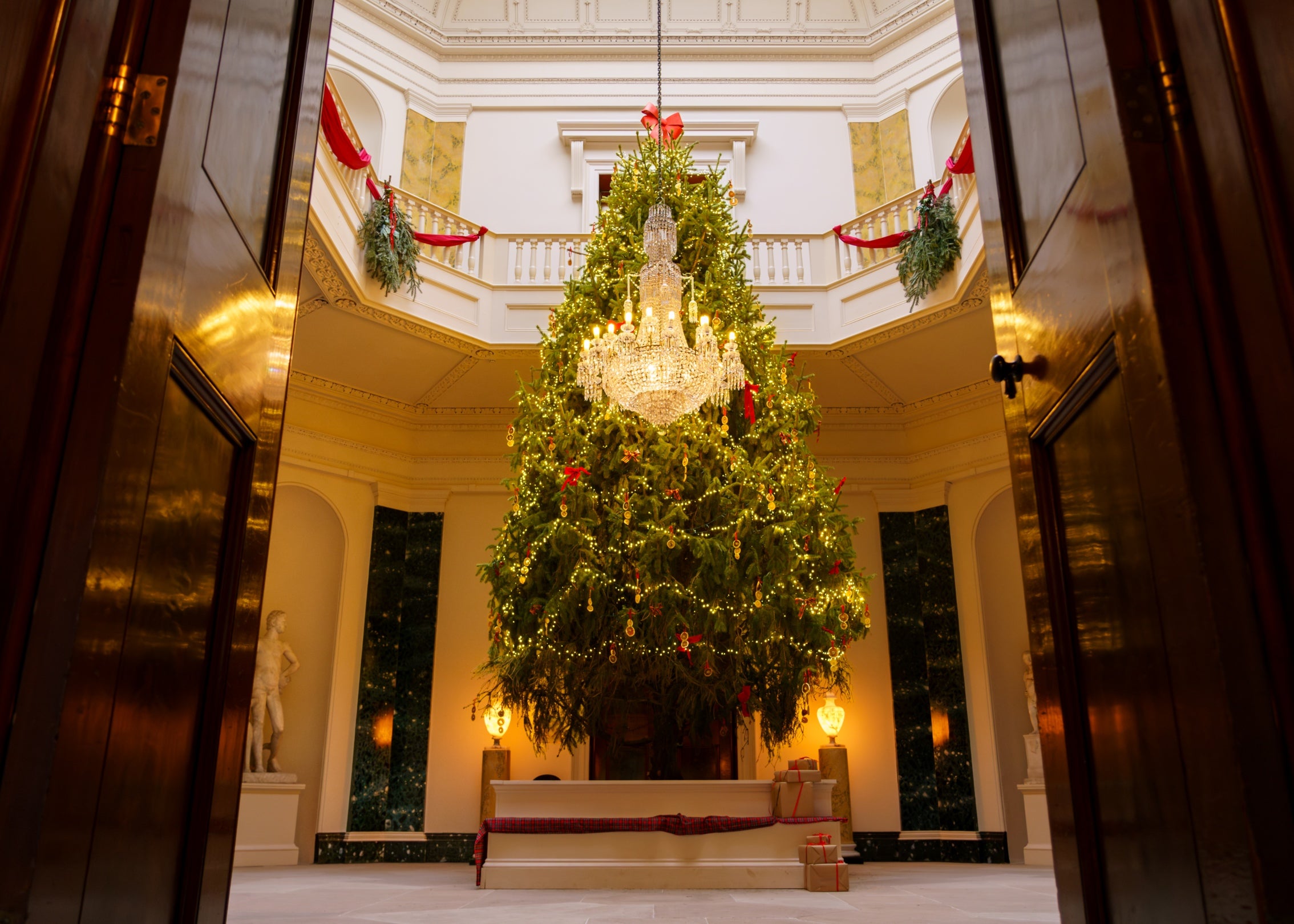 Christmas tree in Central Hall