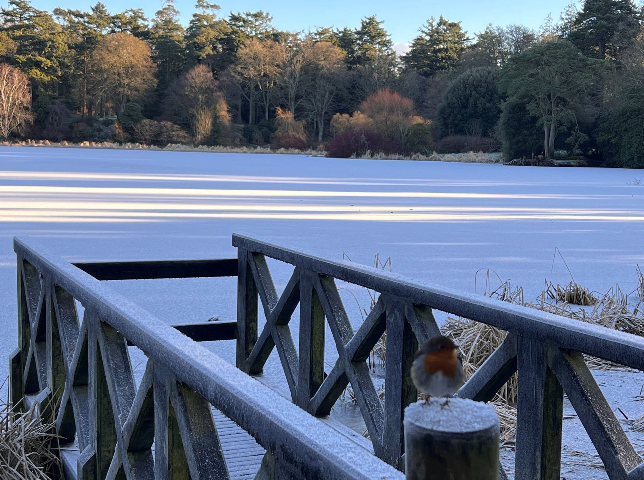 Frozen lake over winter