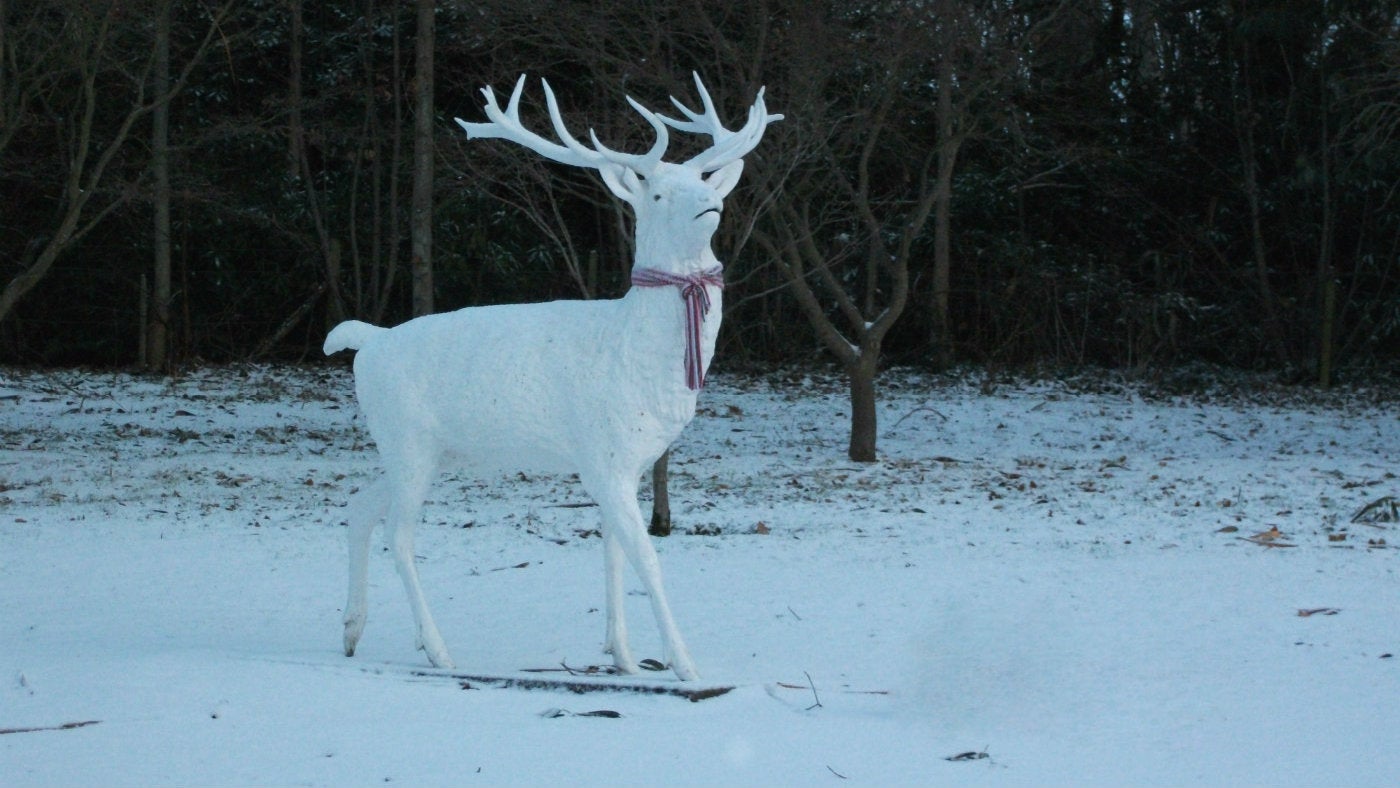 White winter stag statue in the snow at Mount Stewart in County Down, Northern Ireland.