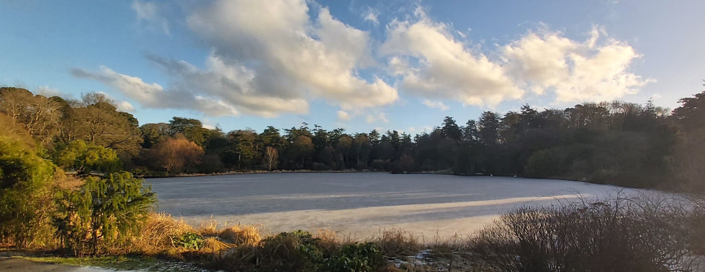 Frozen Lake Walk in Winter, Mount Stewart, County Down