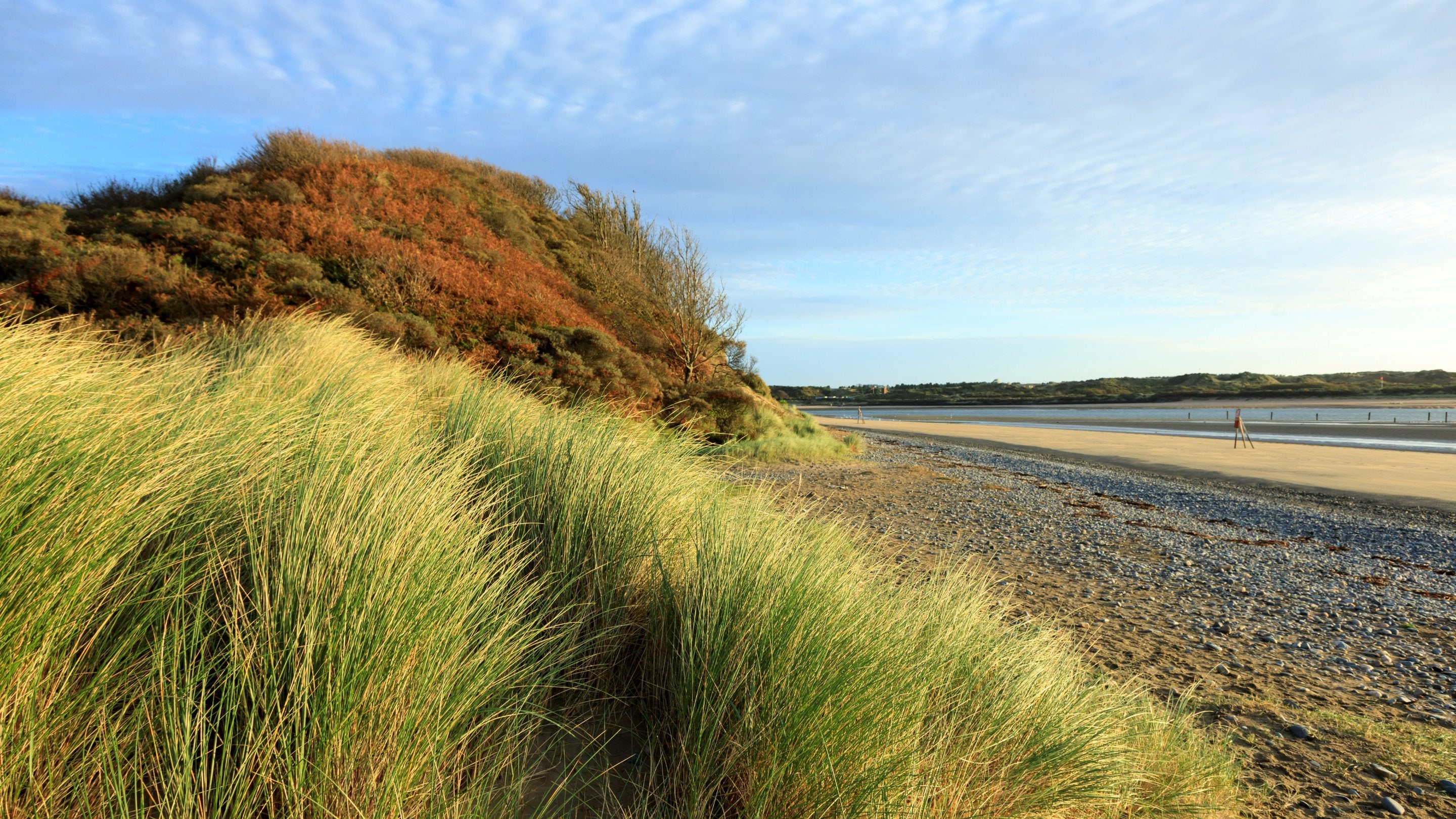 The coastal sand dunes at Murlough National Nature Reserve, County Down