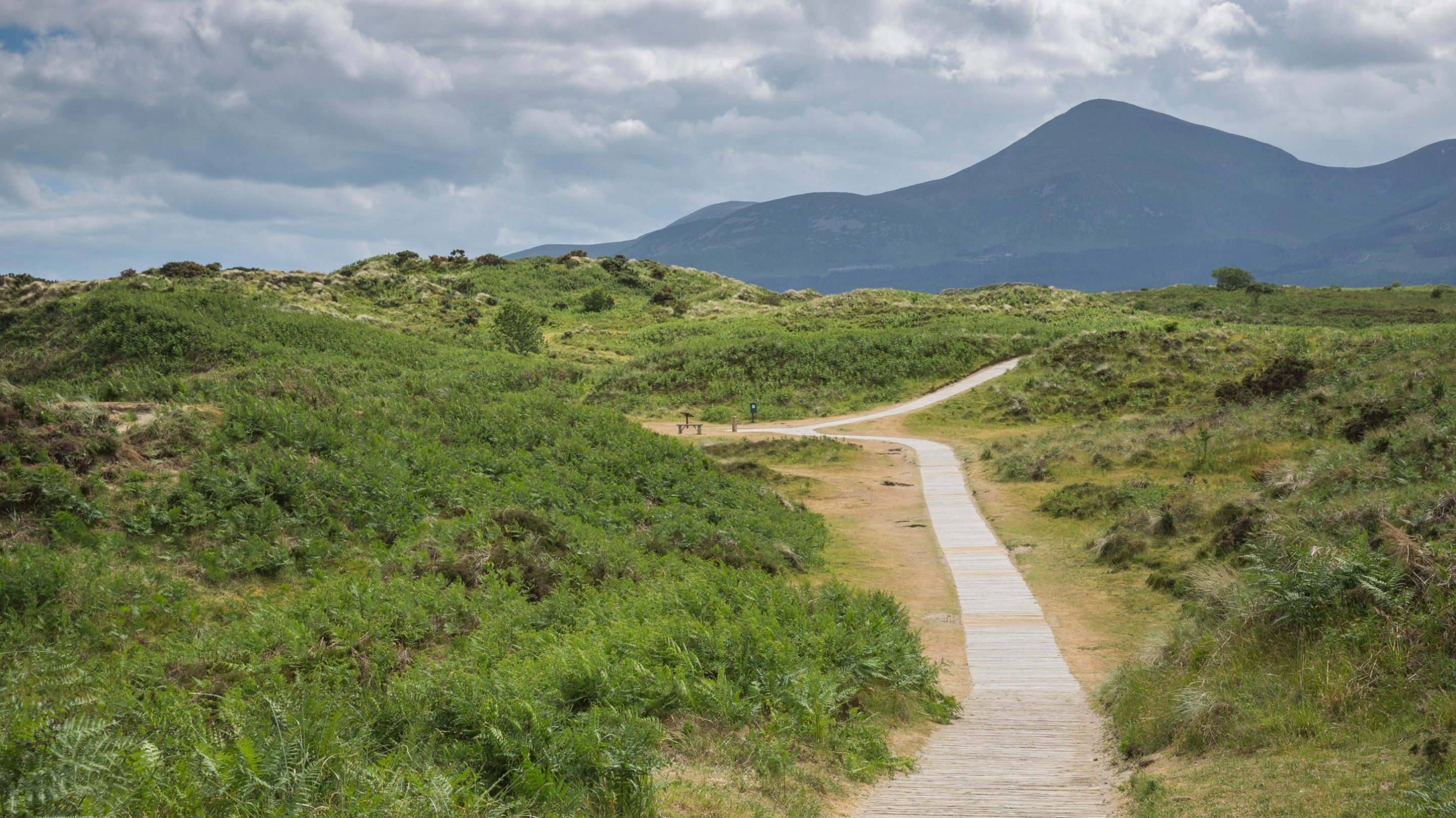 View of the restored boardwalk through the sand dunes at Murlough National Nature Reserve, County Down.