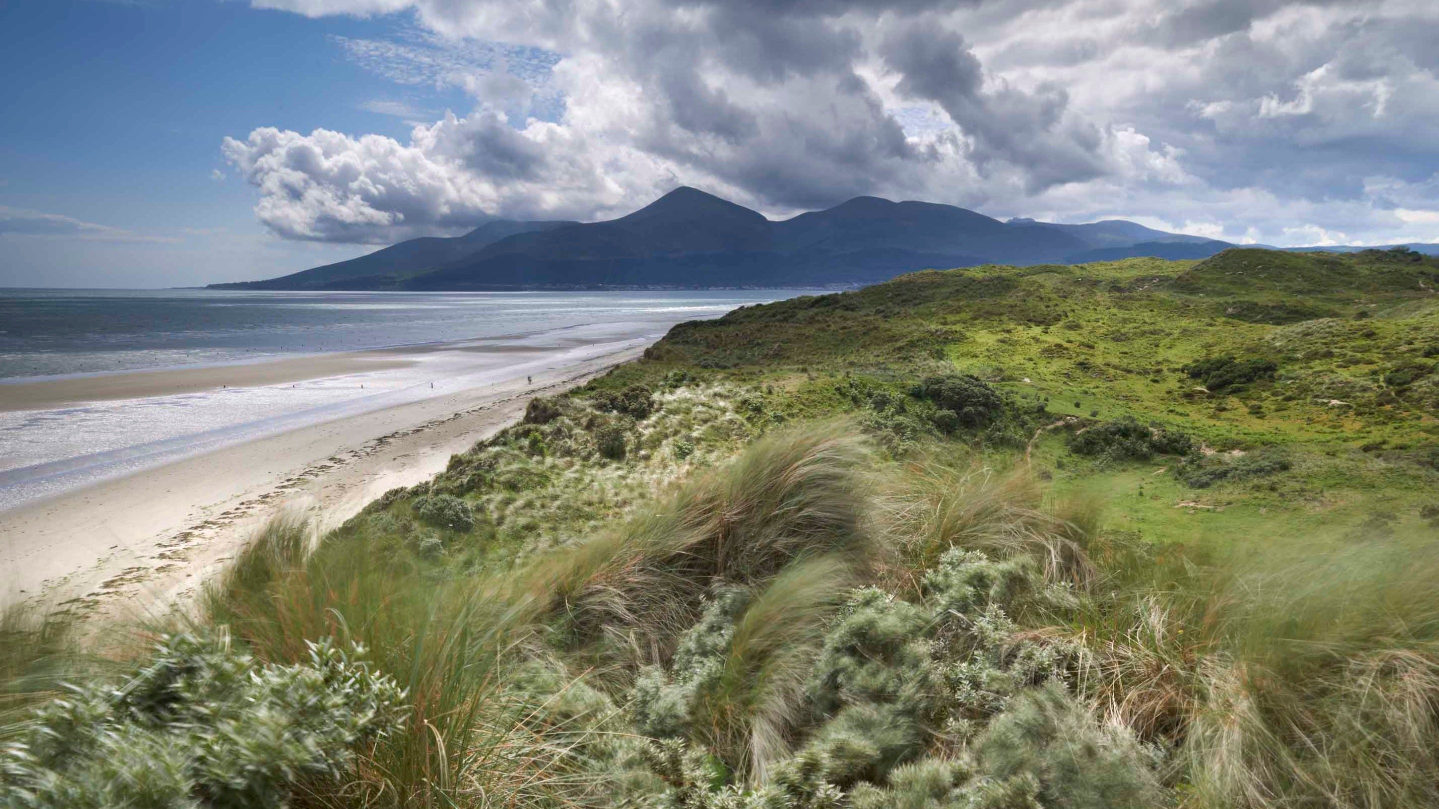 View of the Mourne Mountains from Murlough National Nature Reserve, County Down, Northern Ireland
