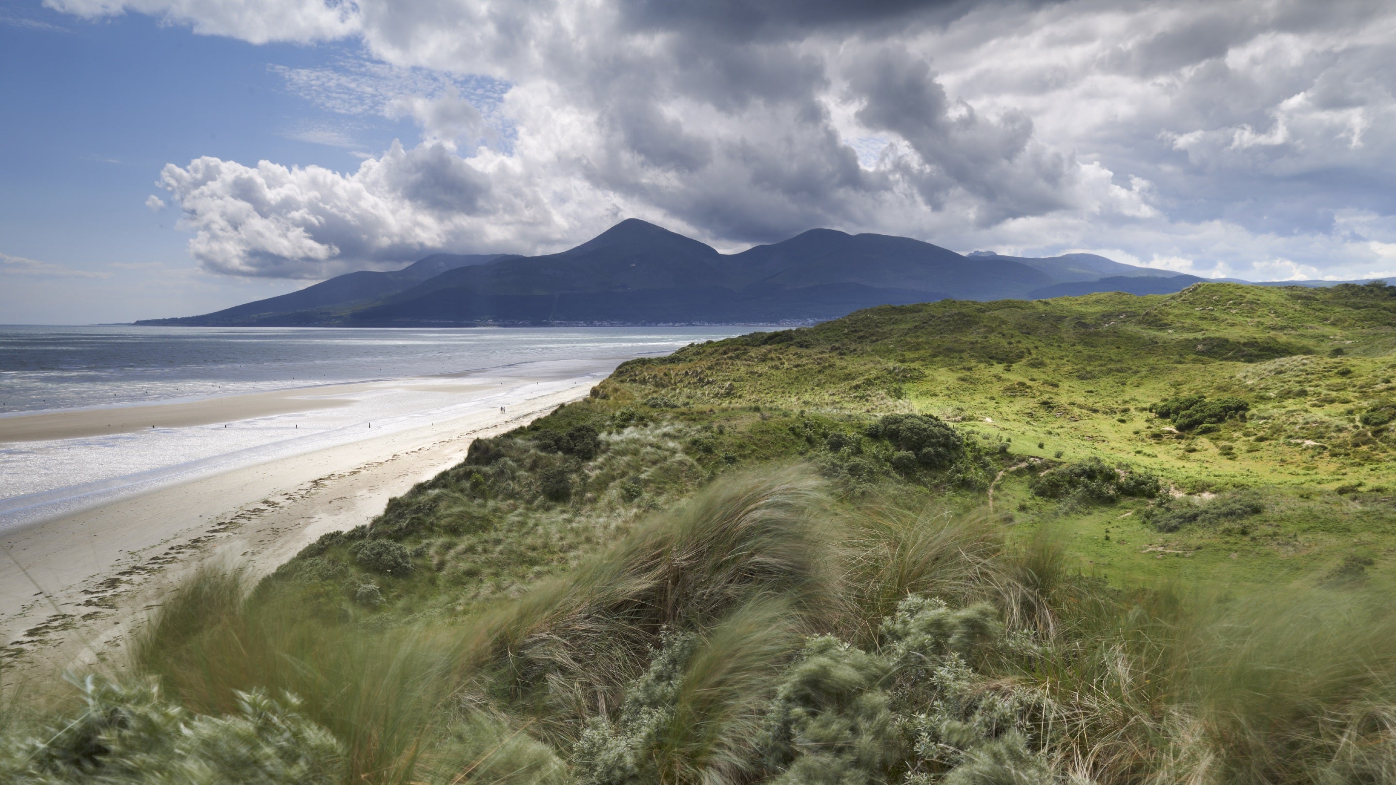 The beach at Murlough, County Down
