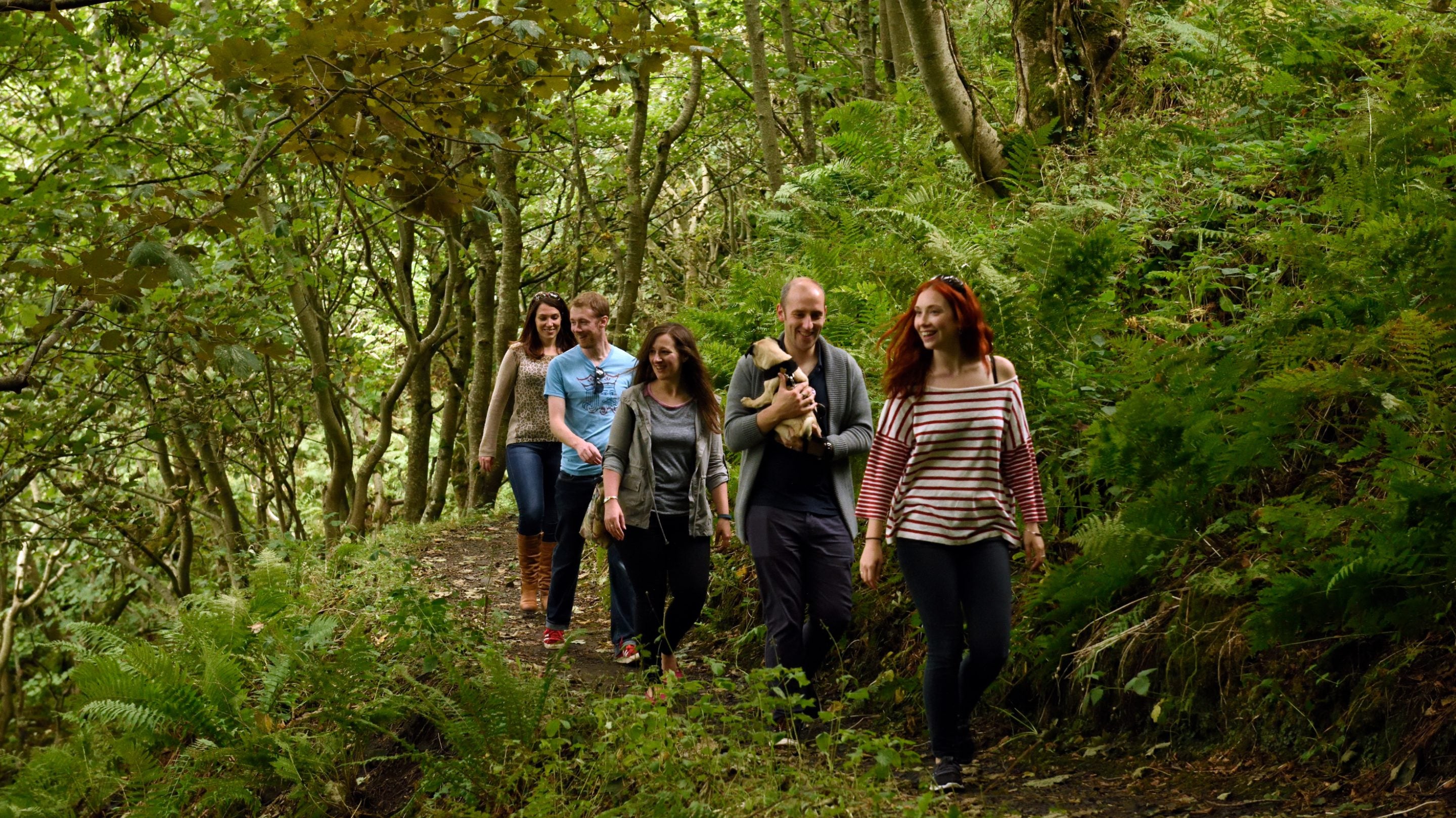 Visitors walking in woodland at Mussenden Temple and Downhill Demesne, County Londonderry