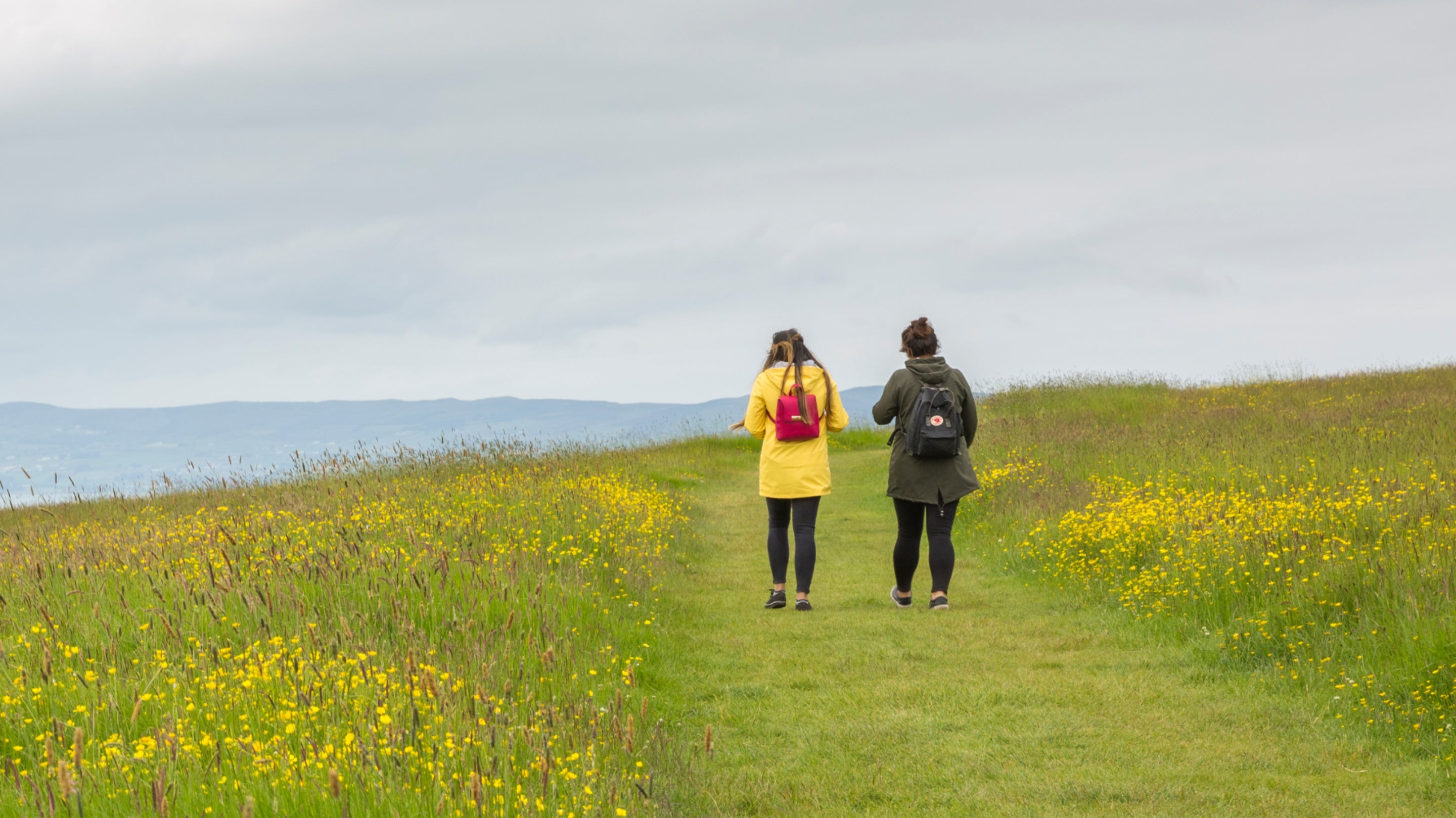 Visitors walking through the wild flower meadow at Downhill Demesne, County Londonderry