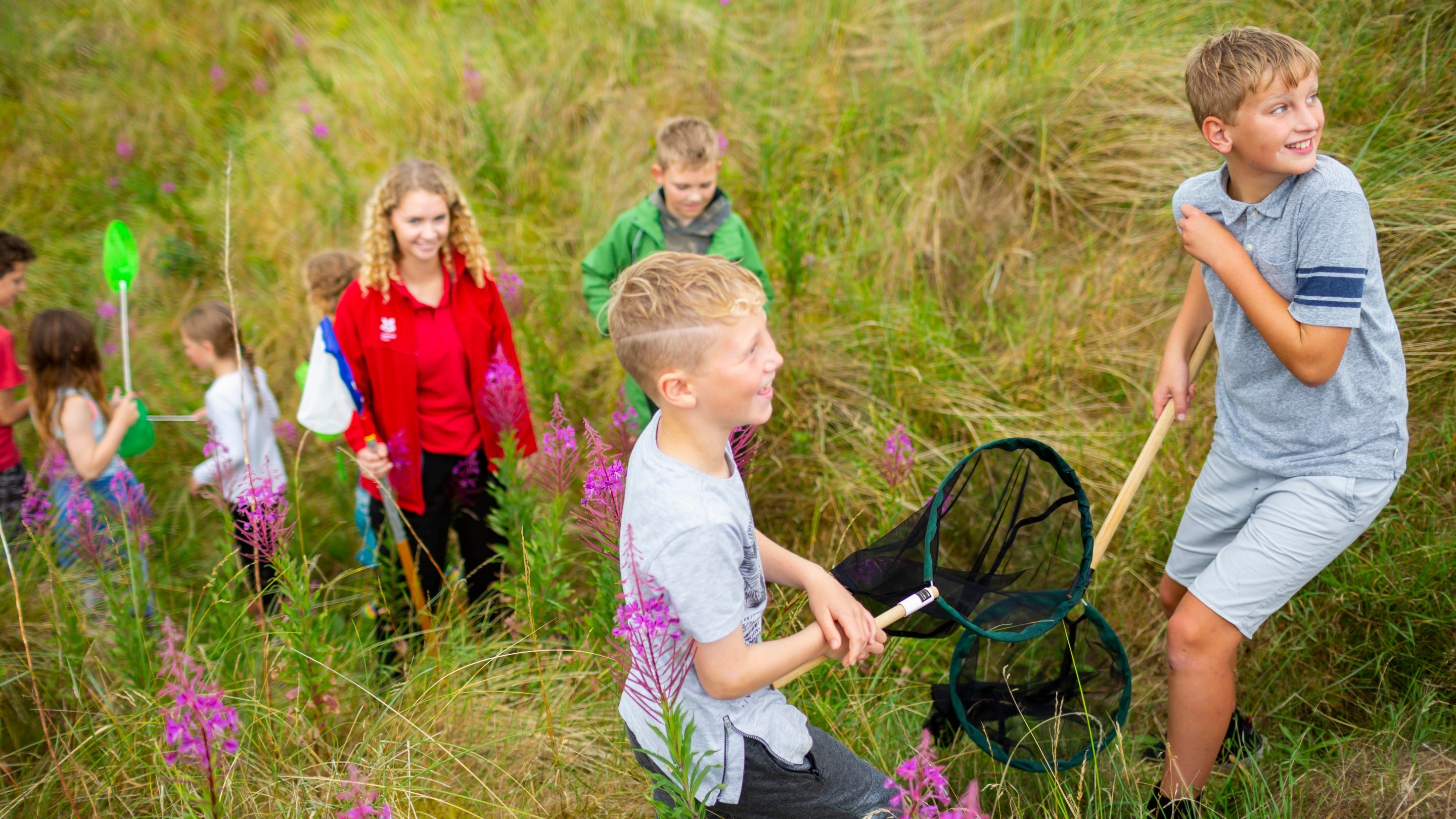 Bug hunting in the sand dunes at Portstewart Strand, County Londonderry