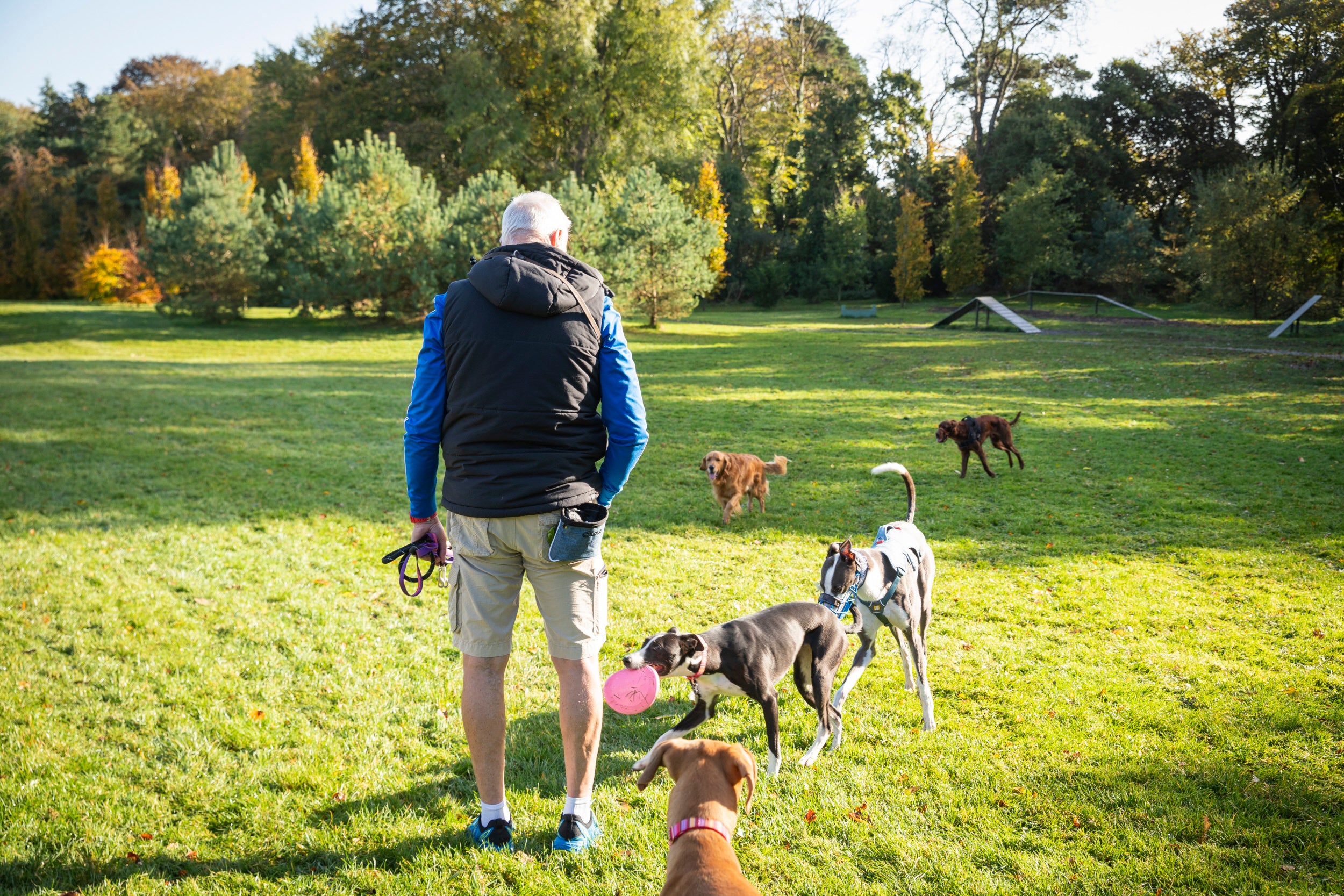 Visitor enjoying the dog field at Rowallane Garden