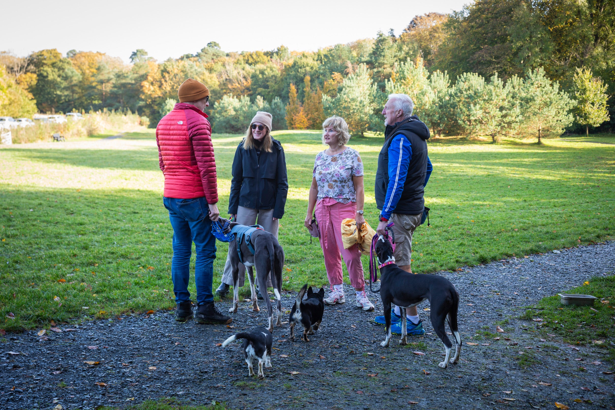 Visitors enjoying the Rowallane Garden dog field