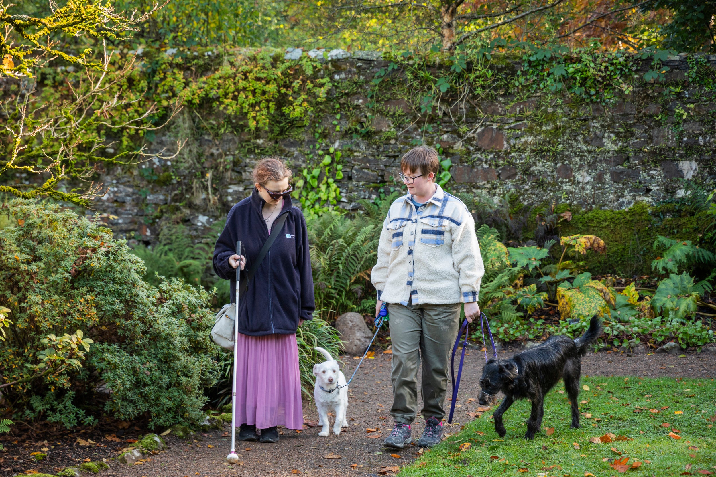 Visitors walking their dogs in the walled garden