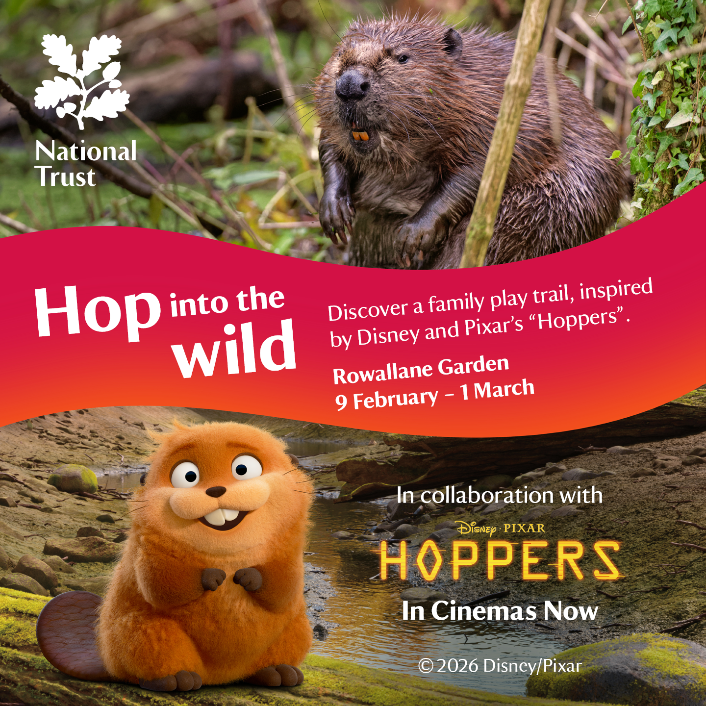 Hoppers trail at Rowallane Garden