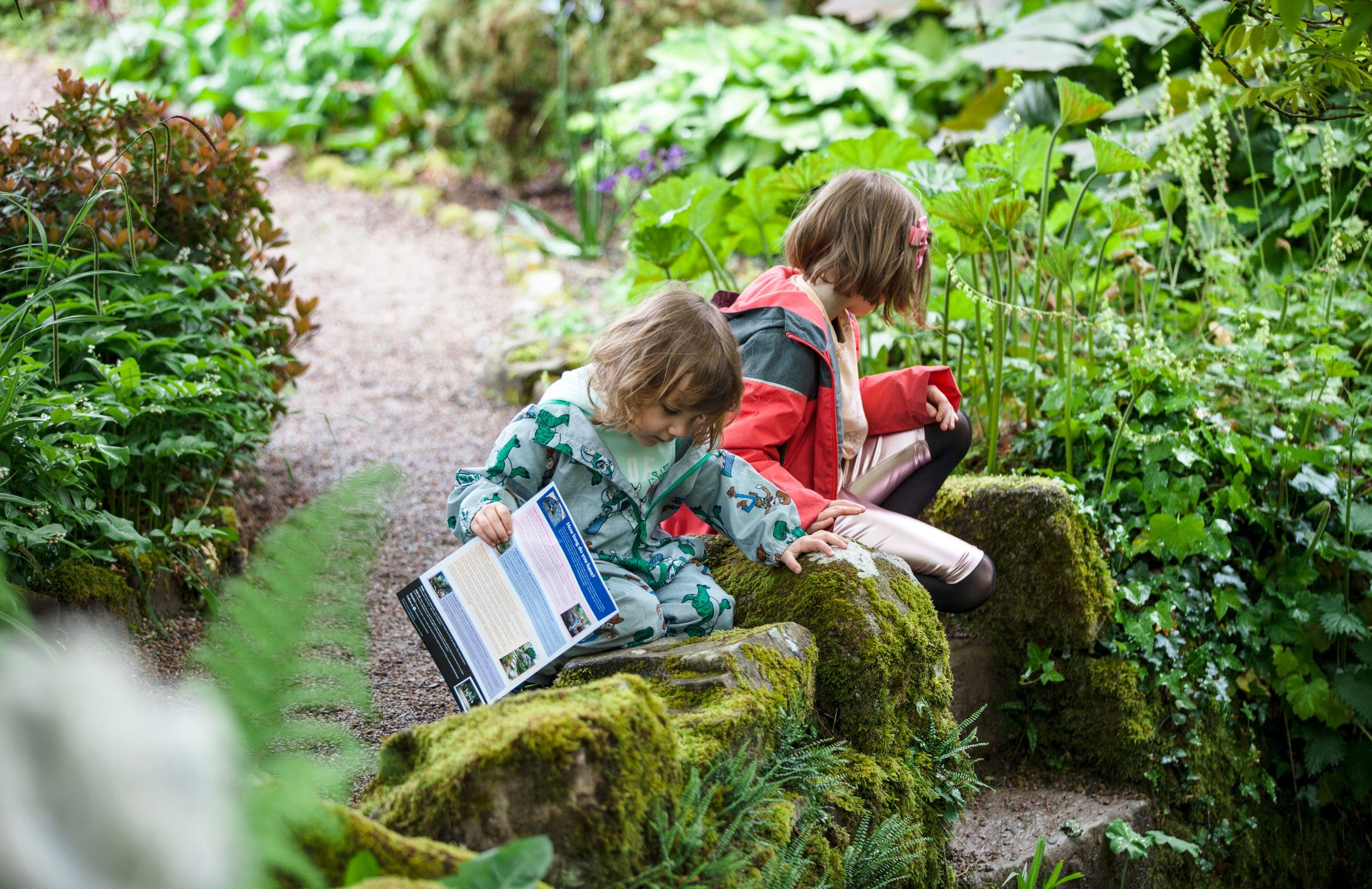 A family exploring the gardens in May at Rowallane Garden, County Down