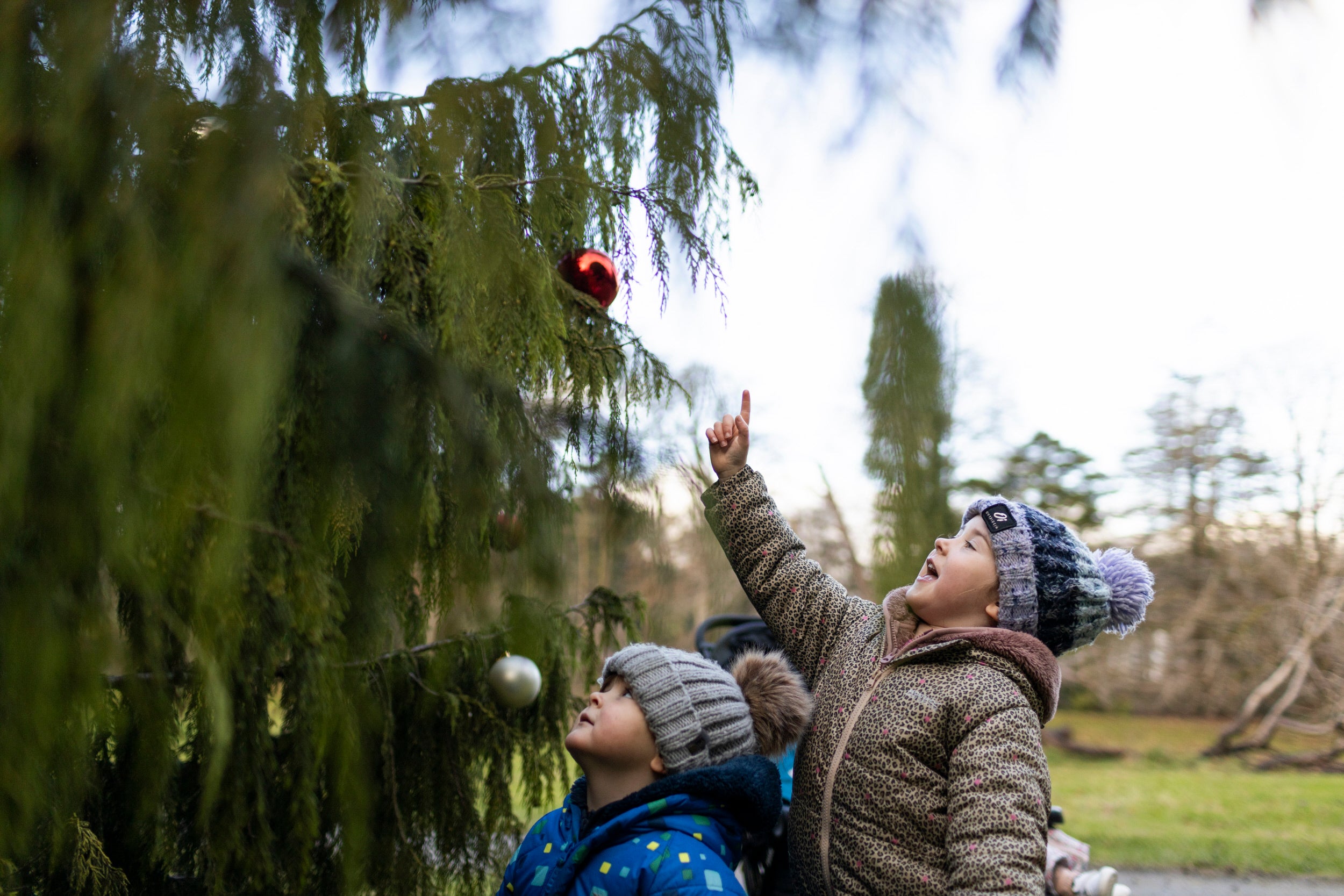 Family exploring the Christmas trail at Rowallane Garden, County Down