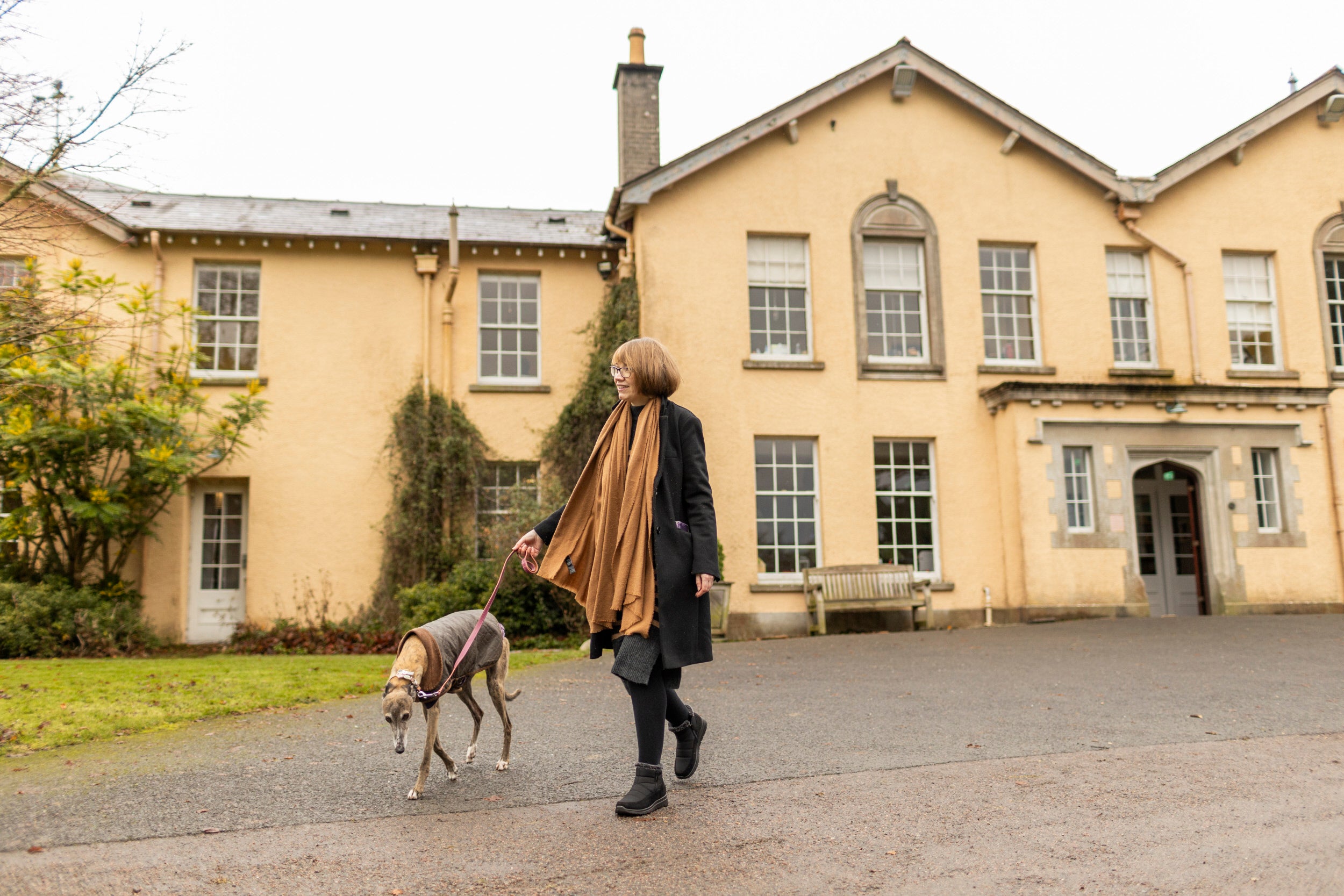 Visitors with their dogs at Christmas time at Rowallane Garden, County Down