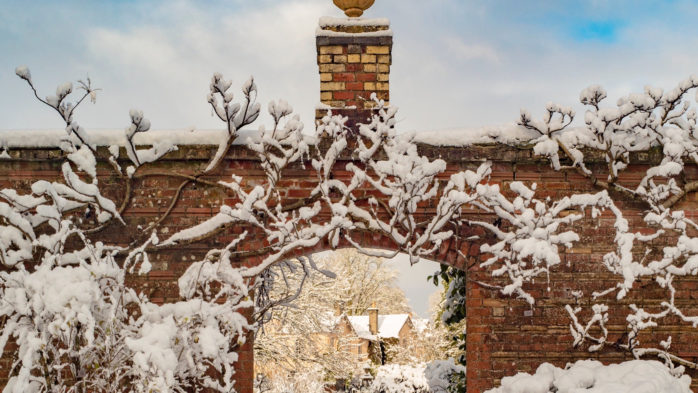 Rowallane Garden, County Down, in winter snow