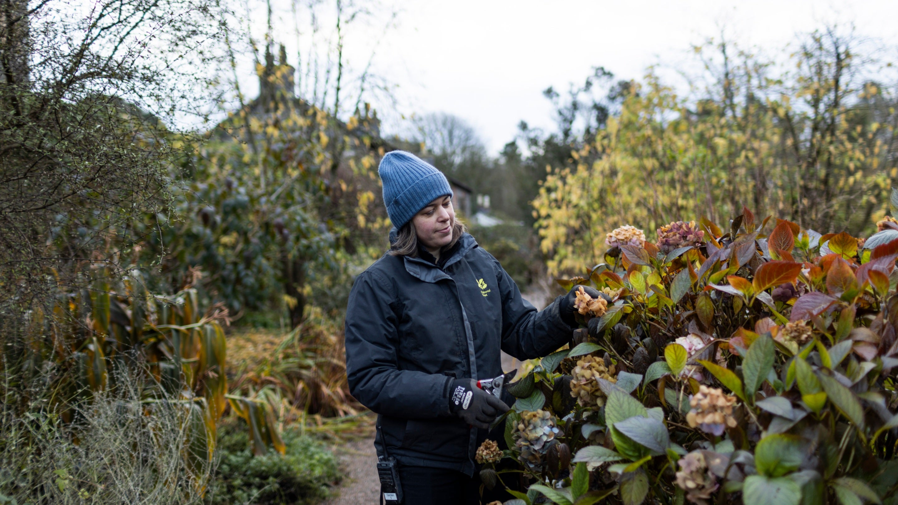 Gardening at Rowallane Garden in winter, County Down
