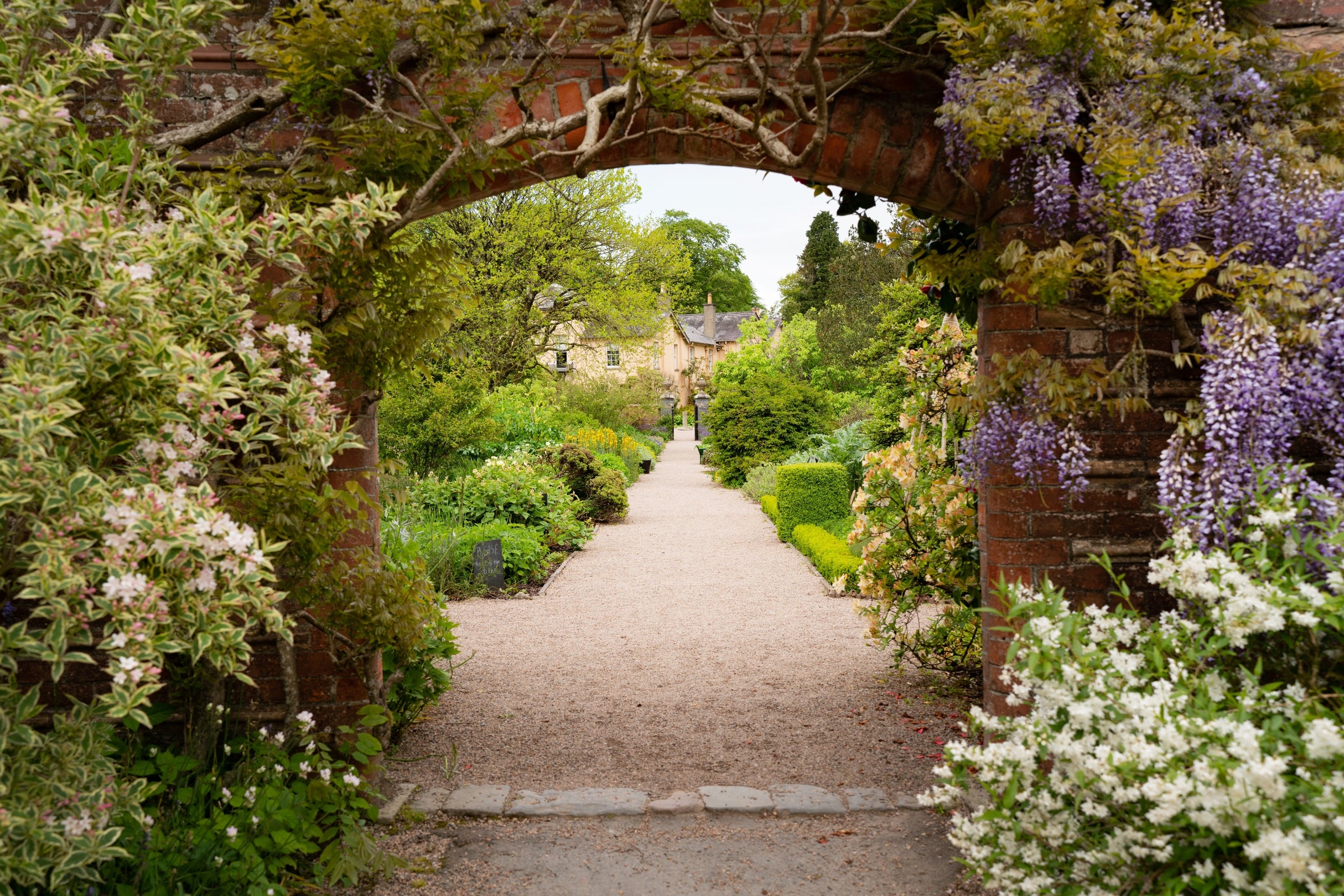 A view into the Walled garden through the wisteria-lined archway