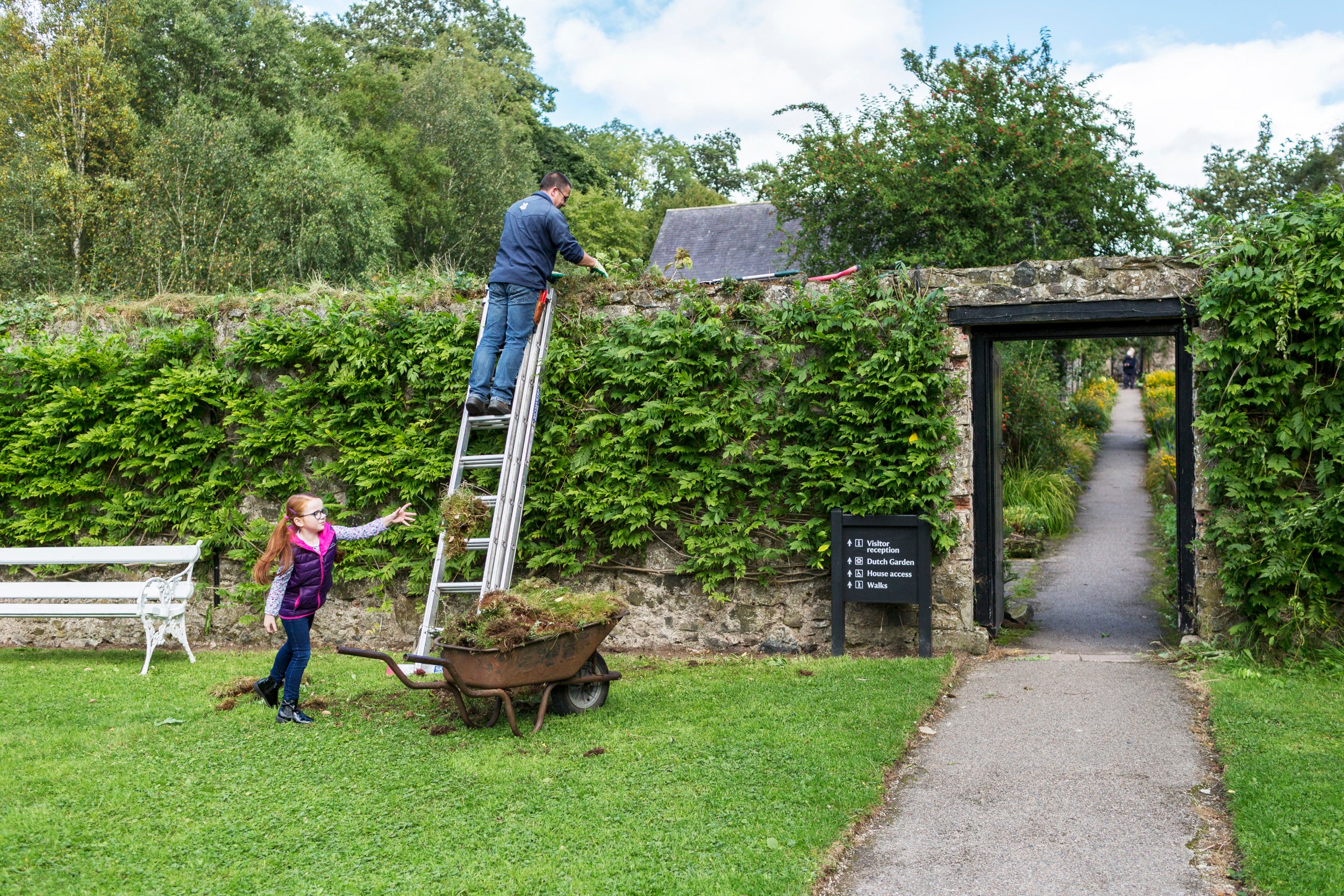 Gardener working to clear debris from a wall with help from a young volunteer at Springhill, County Londonderry, Northern Ireland.