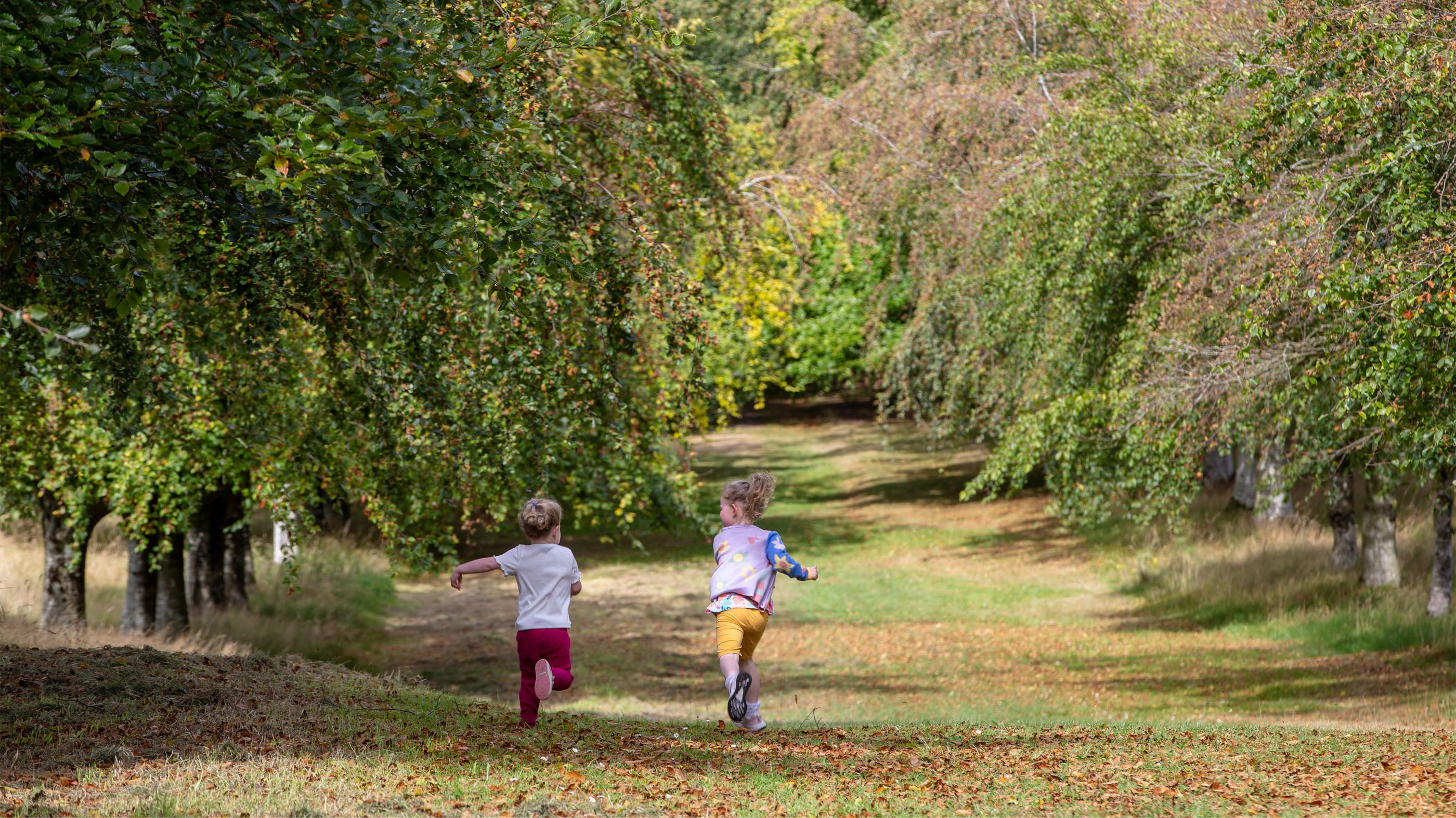 Children playing in the woodland at Springhill, County L'derry, Northern Ireland