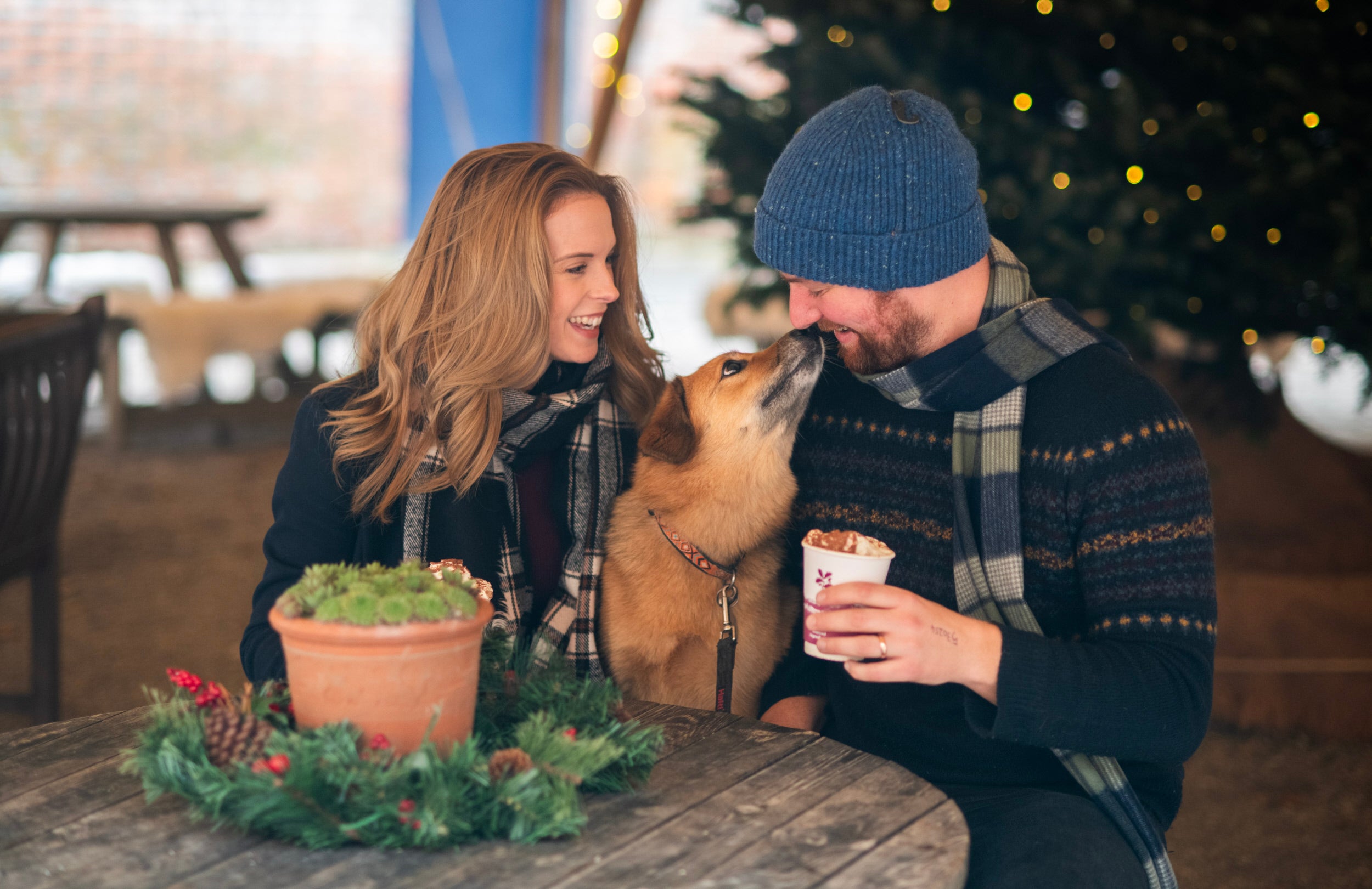 Visitors enjoying festive treats with their dog