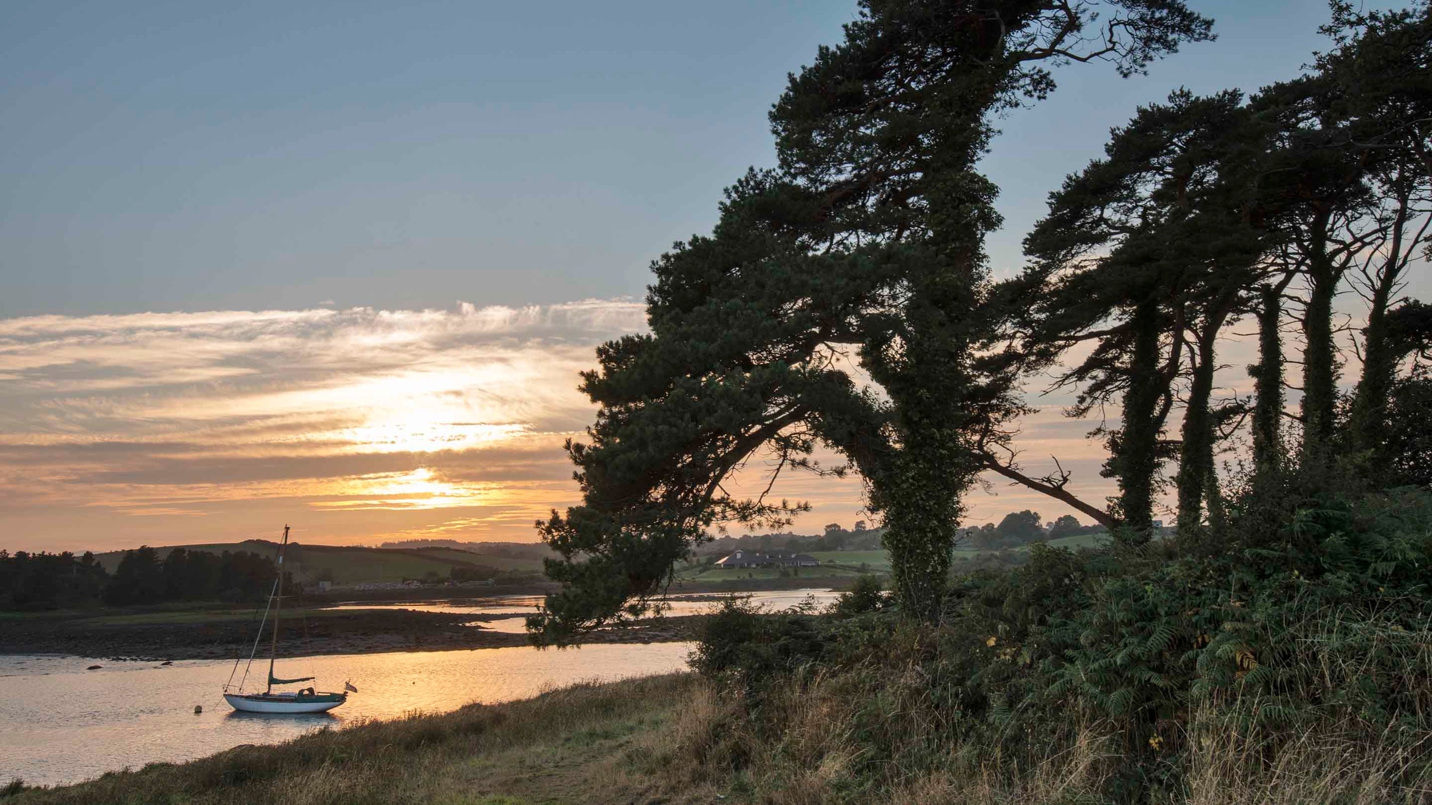 Sunset view of Strangford Lough, County Down, from Gibb's Island. There are trees in the foreground while a small dinghy is visible in the water.