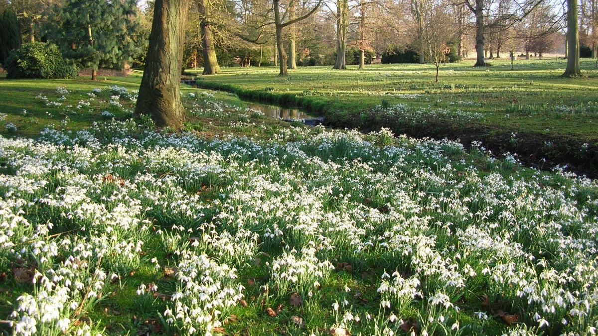Walking to Rainham Hall London National Trust