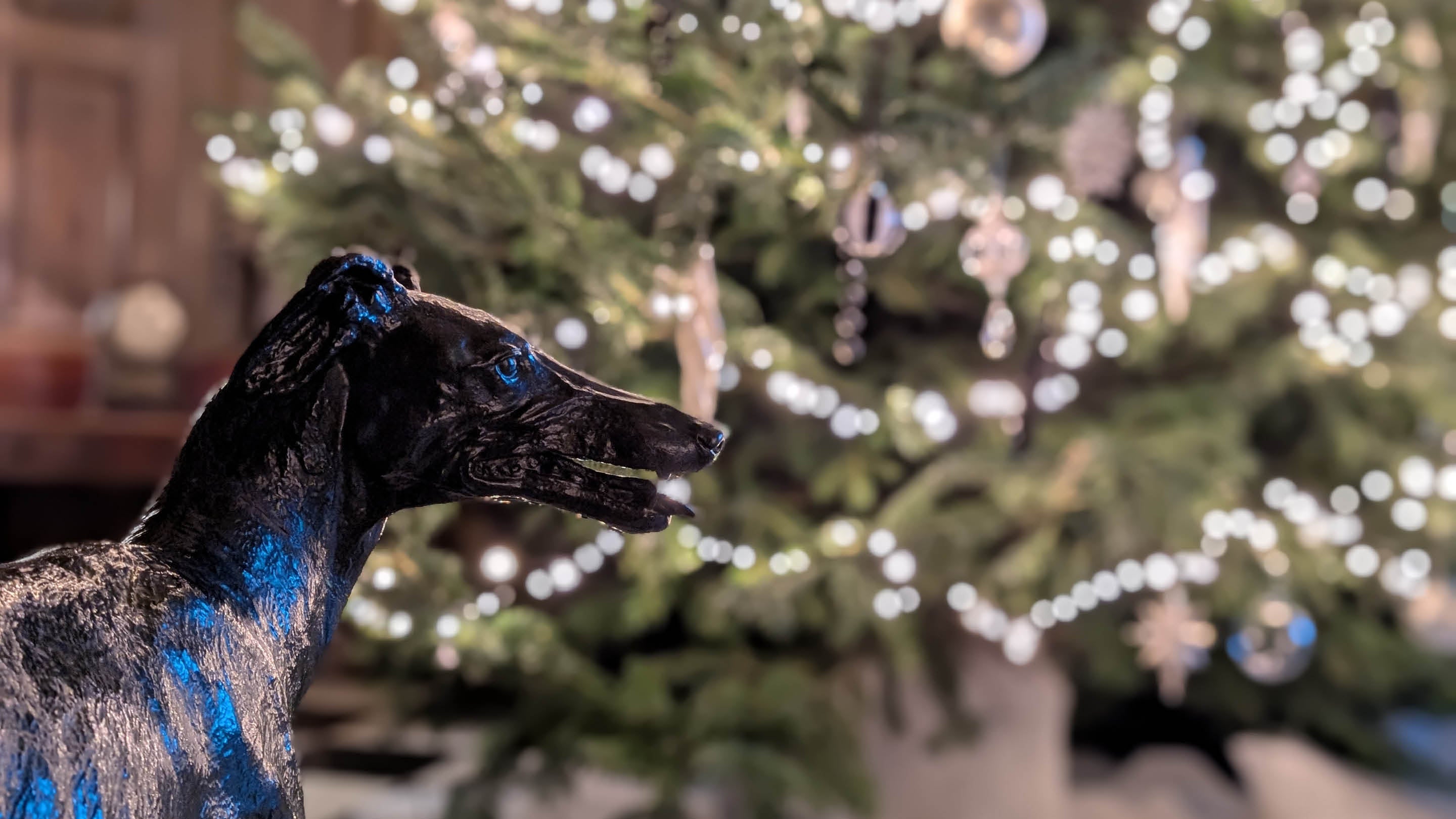 A close-up of a greyhound statue in the Marble Hall at Belton House with the twinkling lights of a Christmas tree in the background.