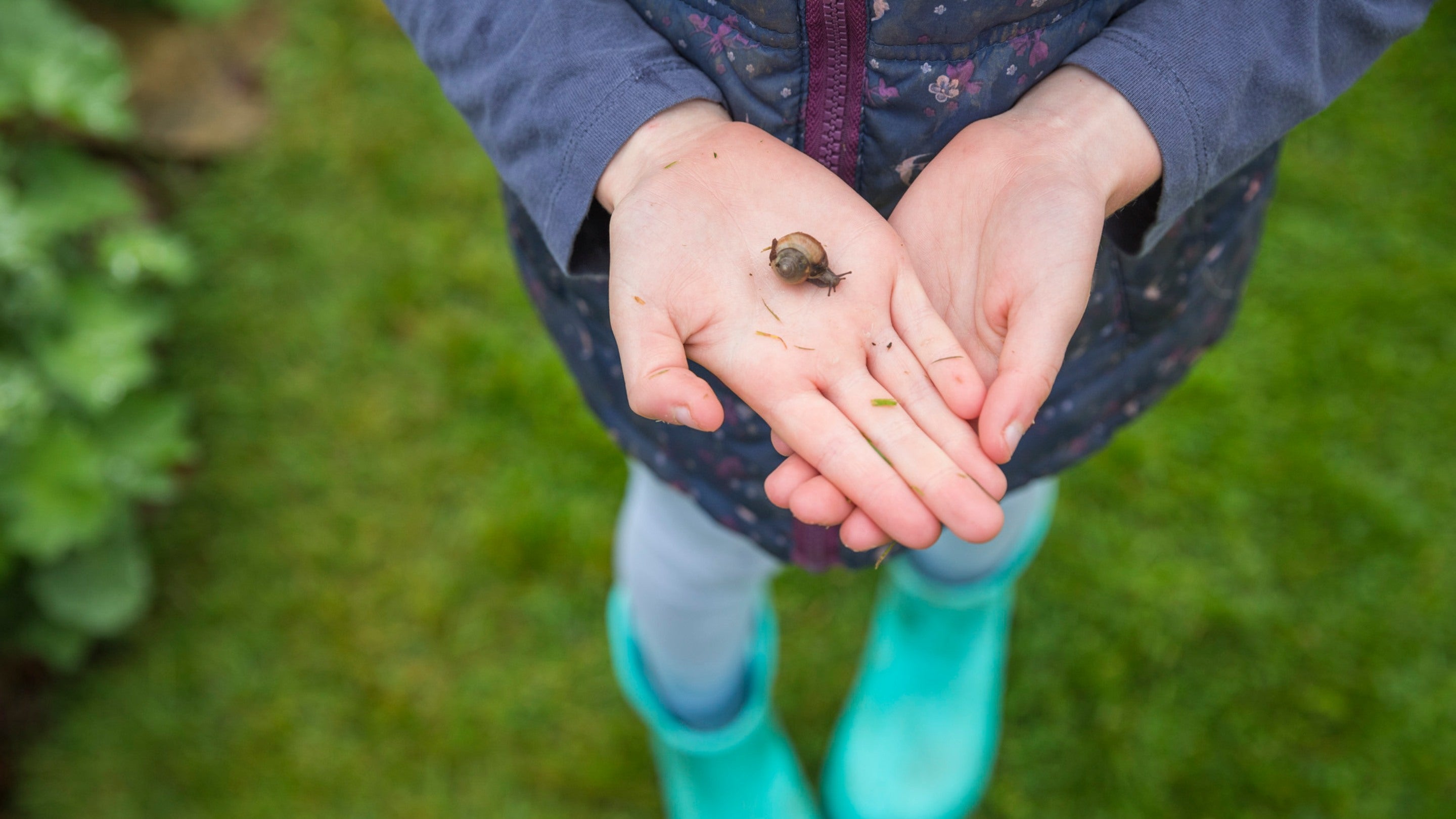 Making friends with a bug