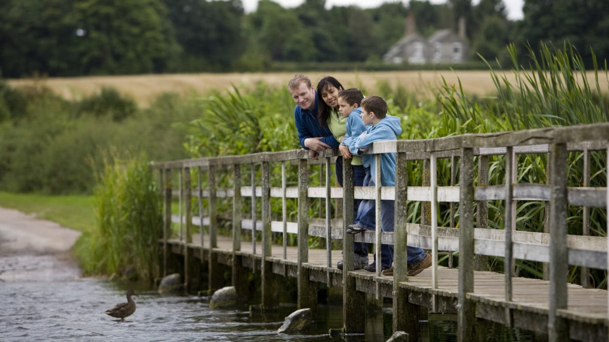 Hardwick Ford Footbridge Clumber Park National Trust