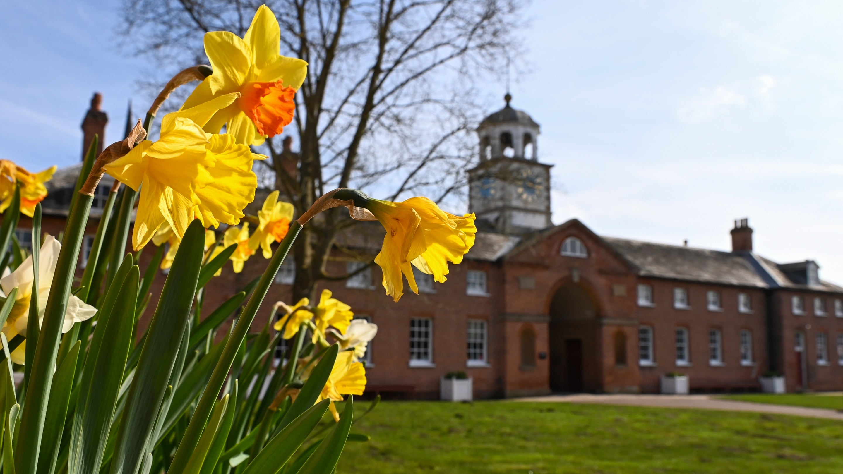 Spring in the Turning Yard