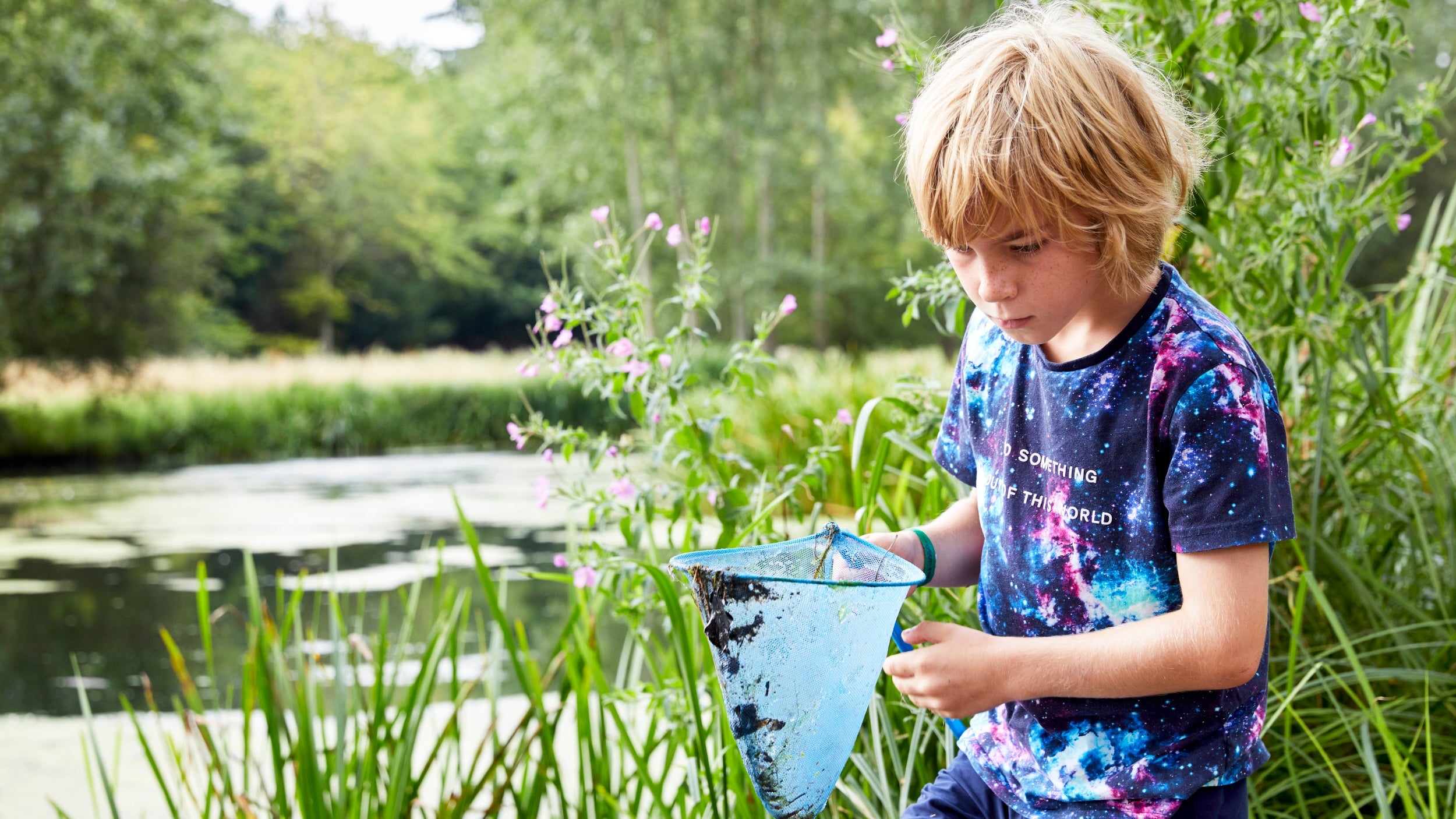 Child pond dipping looking in to a net for creatures