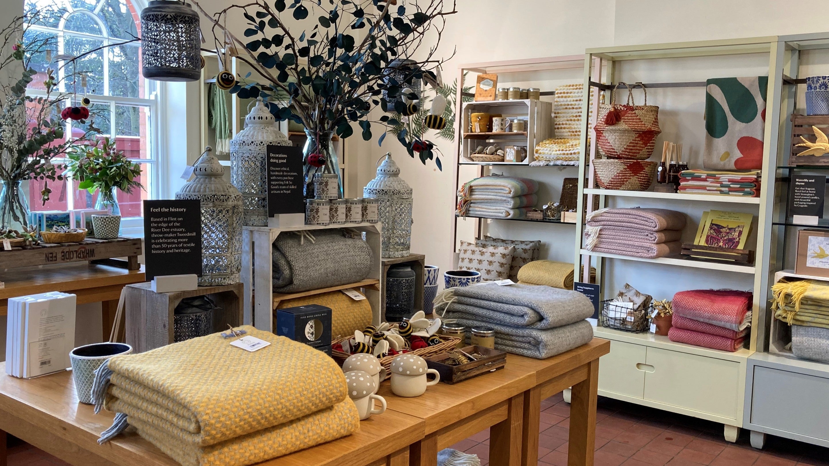 Shelves and display units in the shop