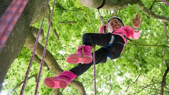 The Great Big Tree Climb