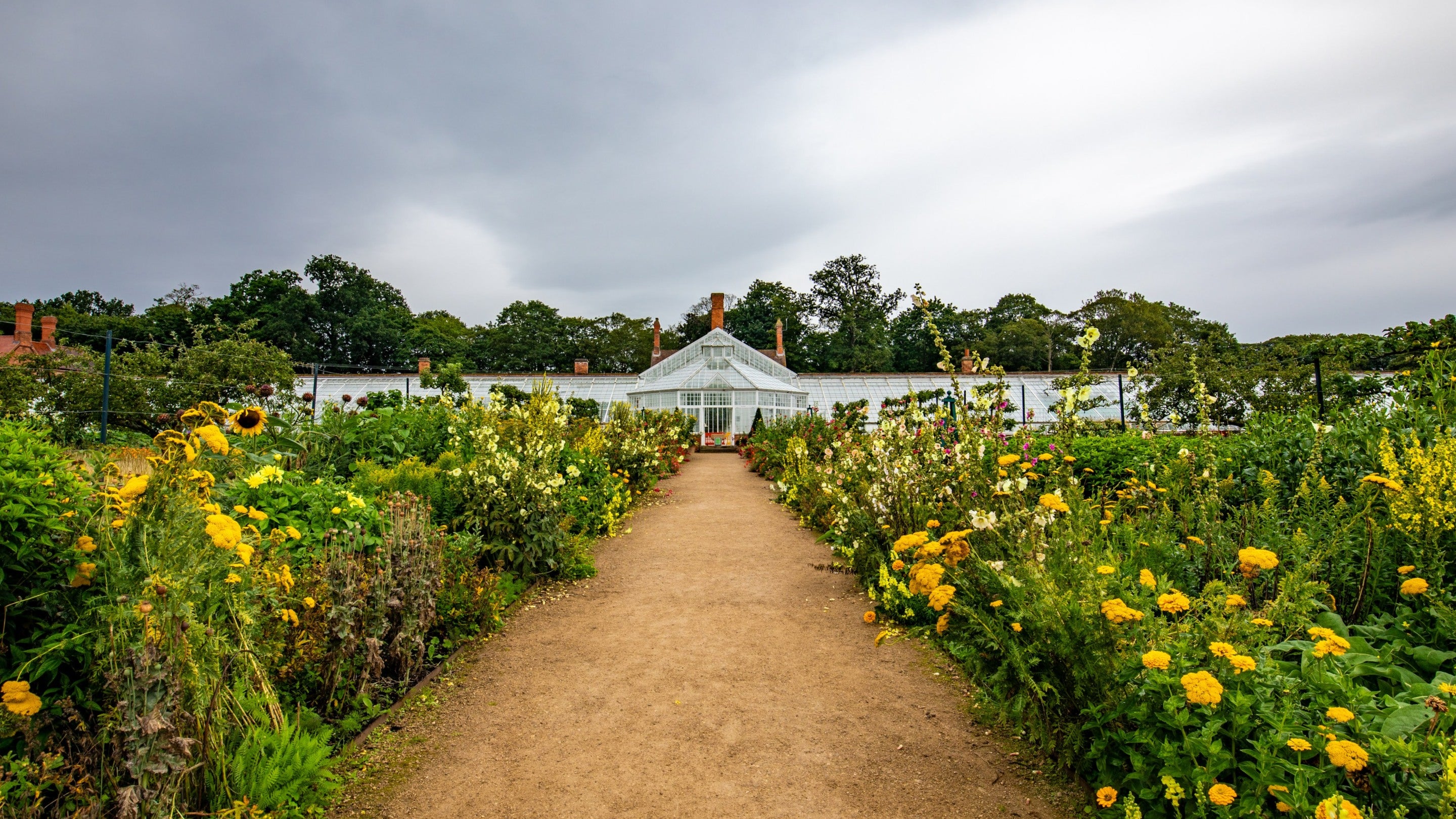 Late summer in the walled kitchen garden