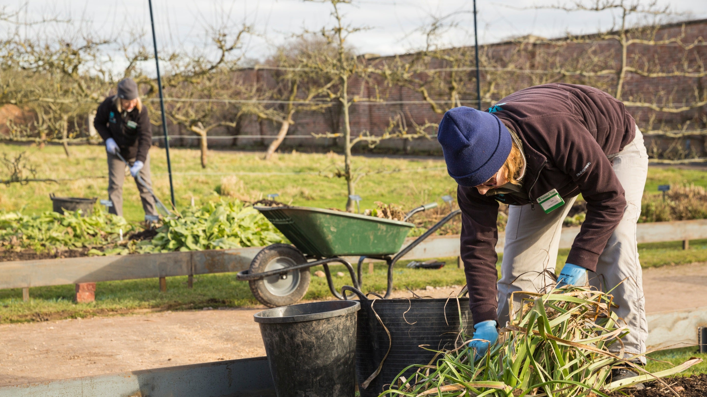 Two people in winter hats and coats working in the garden. One is picking up grass, the other using a garden tool in the background. A wheelbarrow is on a path between them.