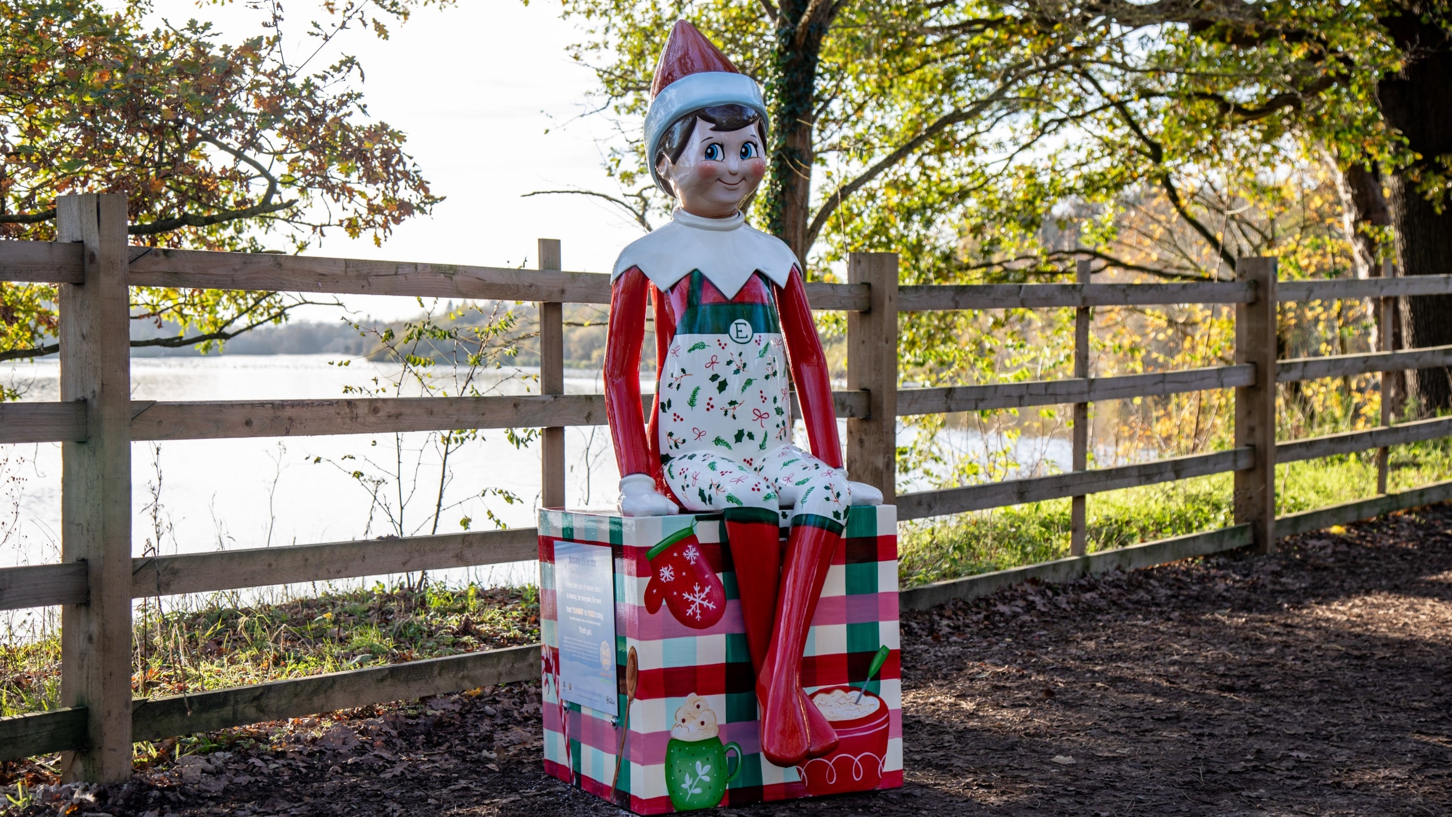 Elf on the Kitchen Shelf