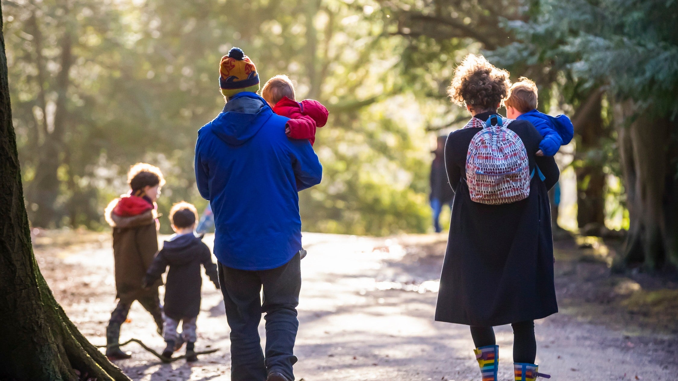 A family walking through woodland on a path
