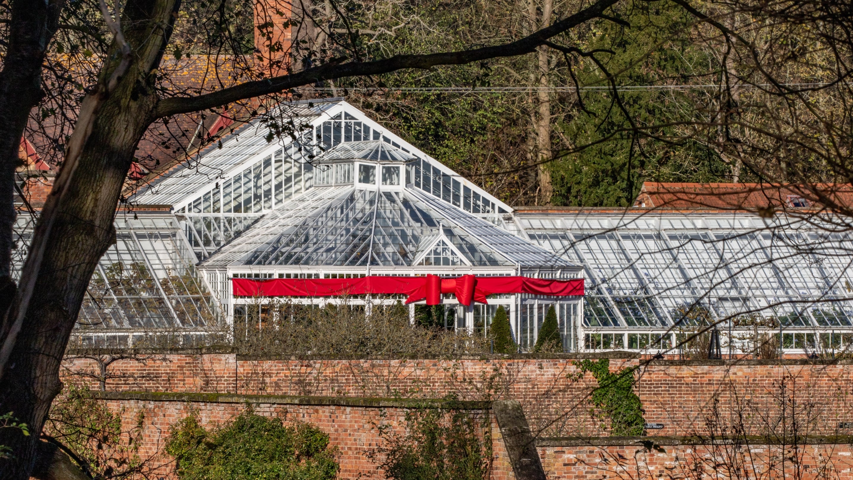 The Glasshouse decorated for the festive season