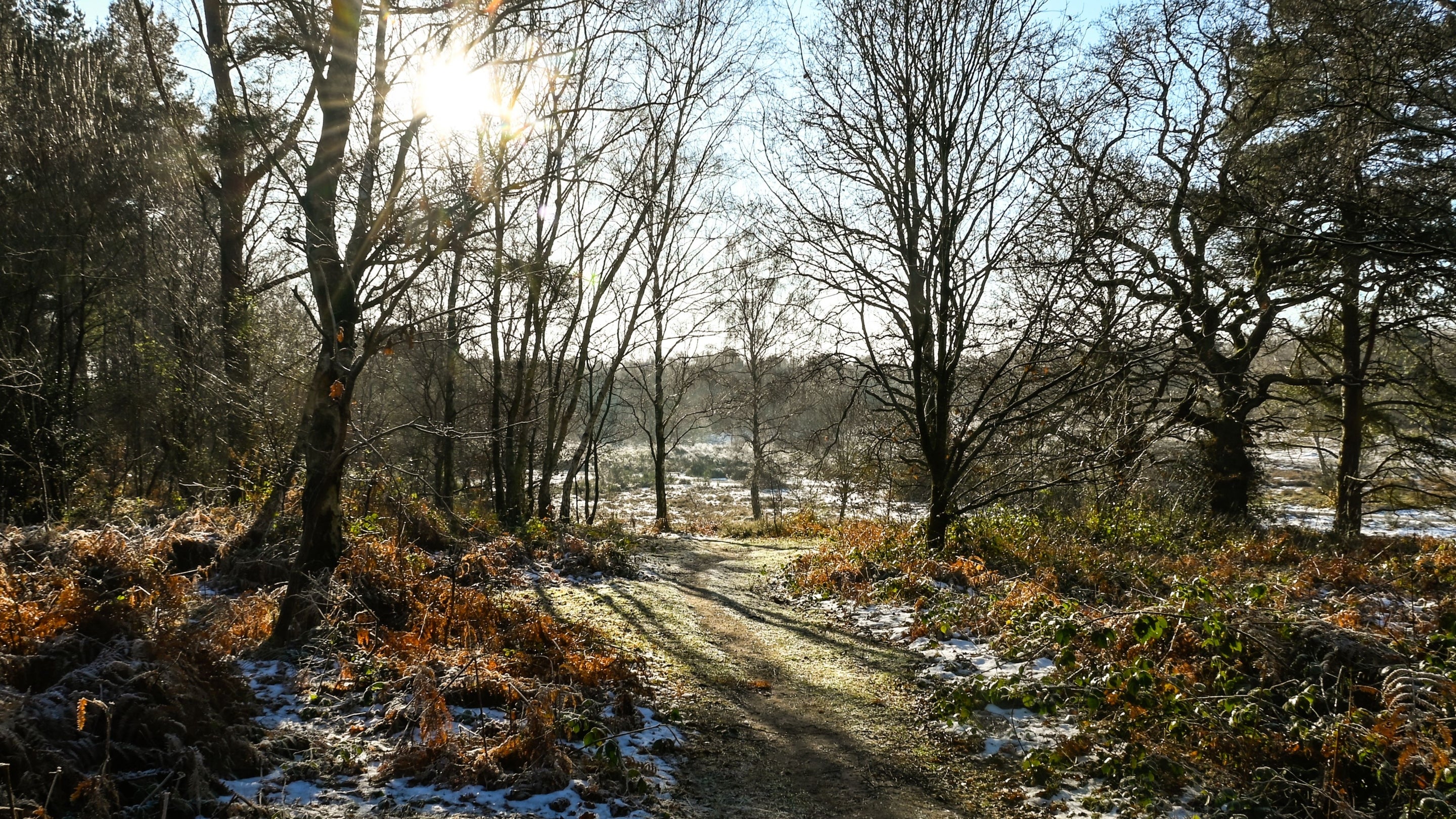 Winter landscape at Clumber Park