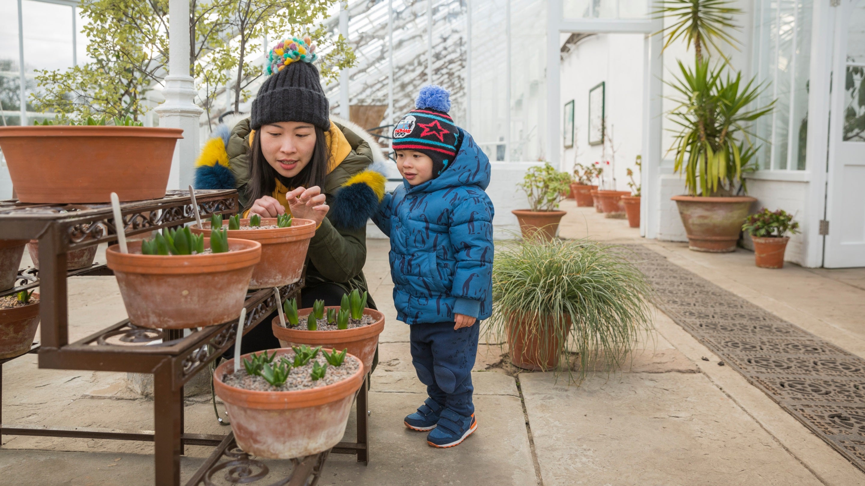 Visitors in the glasshouse at Clumber Park, Nottinghamshire