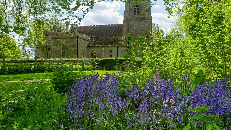 Bluebells in spring near Gunby's St Peter's Church, Lincolnshire