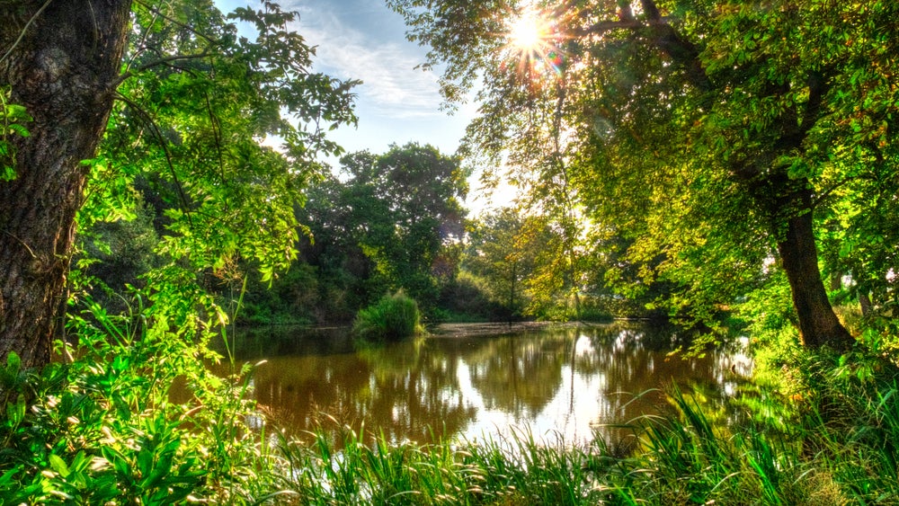 Ice house pond at Gunby