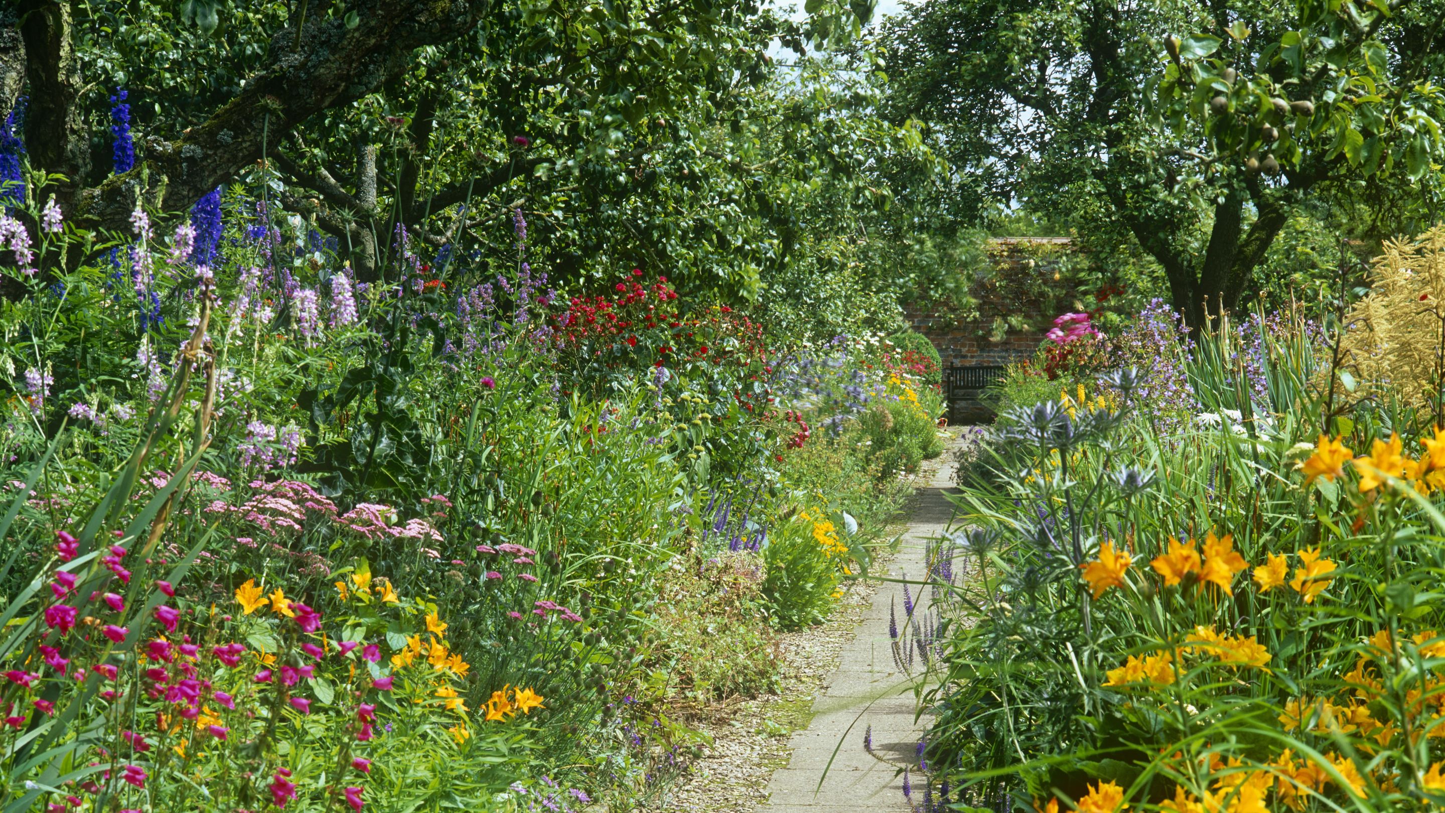 A winding path through colourful summer borders in Gunby’s Walled Garden, filled with yellow, pink and purple flowers.