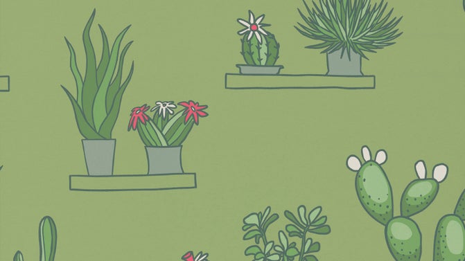 Mr Straw's Greenhouse - Garden