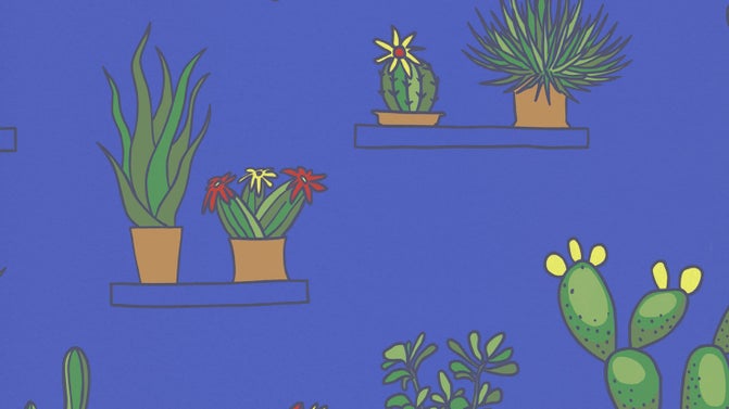 Mr Straw's Greenhouse - Mambo