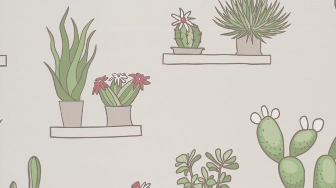 Mr Straw's Greenhouse - Slaked Lime