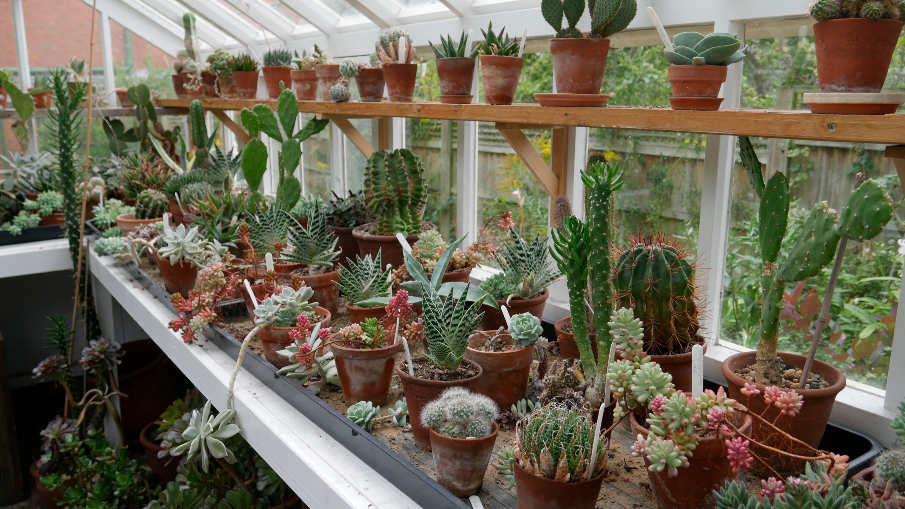 The greenhouse at Mr Straw's House, Nottinghamshire