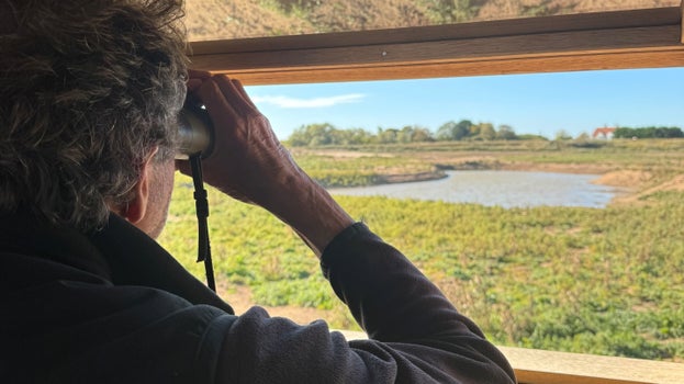 Person using binoculars to look out across wetlands during a wildlife walk at Sandilands Nature Reserve.