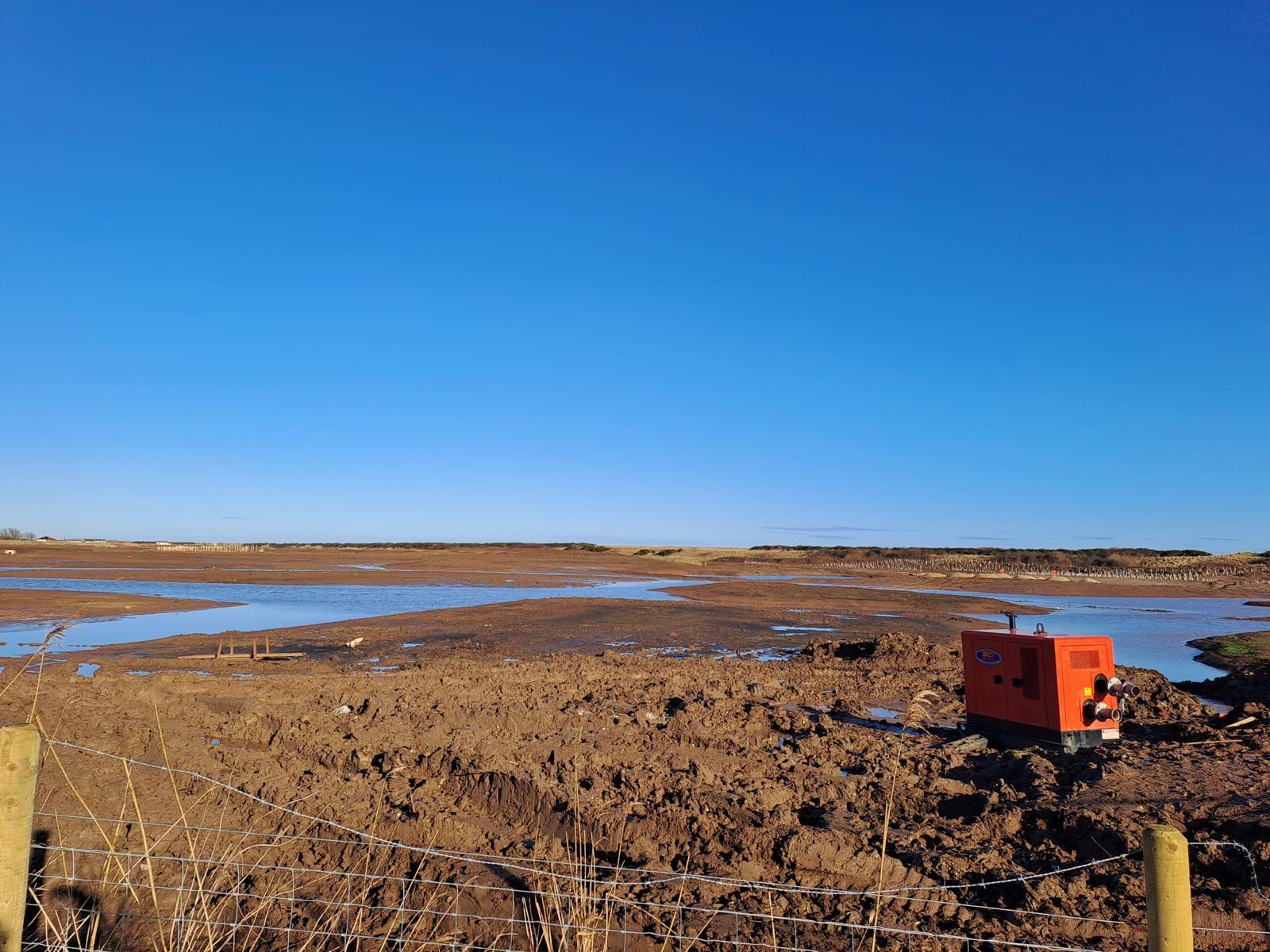 Sandilands in spring